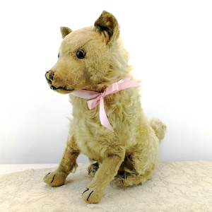 Steiff Dog Chow Chow prewar 1928 to 1931 produced only large 14 inches sitting