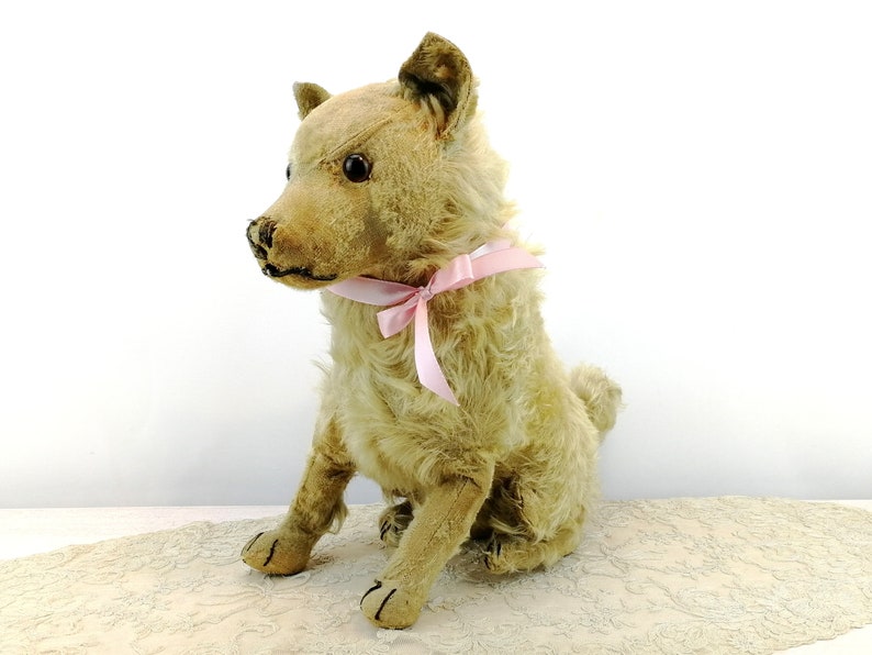 Steiff dog Chow Chow prewar 1928 to 1931 only large 14 inches sitting image 1