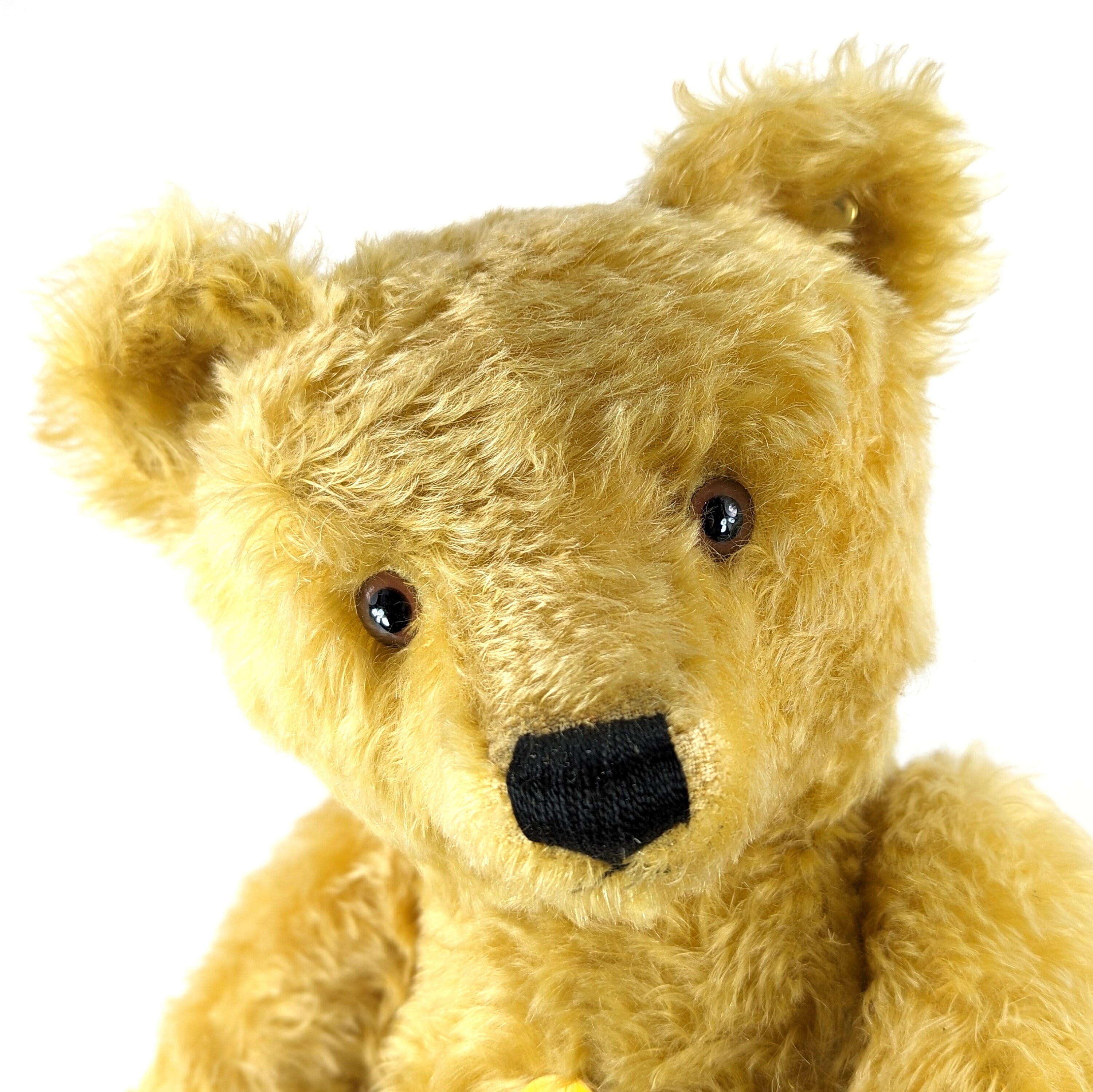 Steiff Teddy Bear 1951 Replica Yellow Large 20 Inches Steiff Teddy Bear 1951 Replica Yellow Large 20 Inches