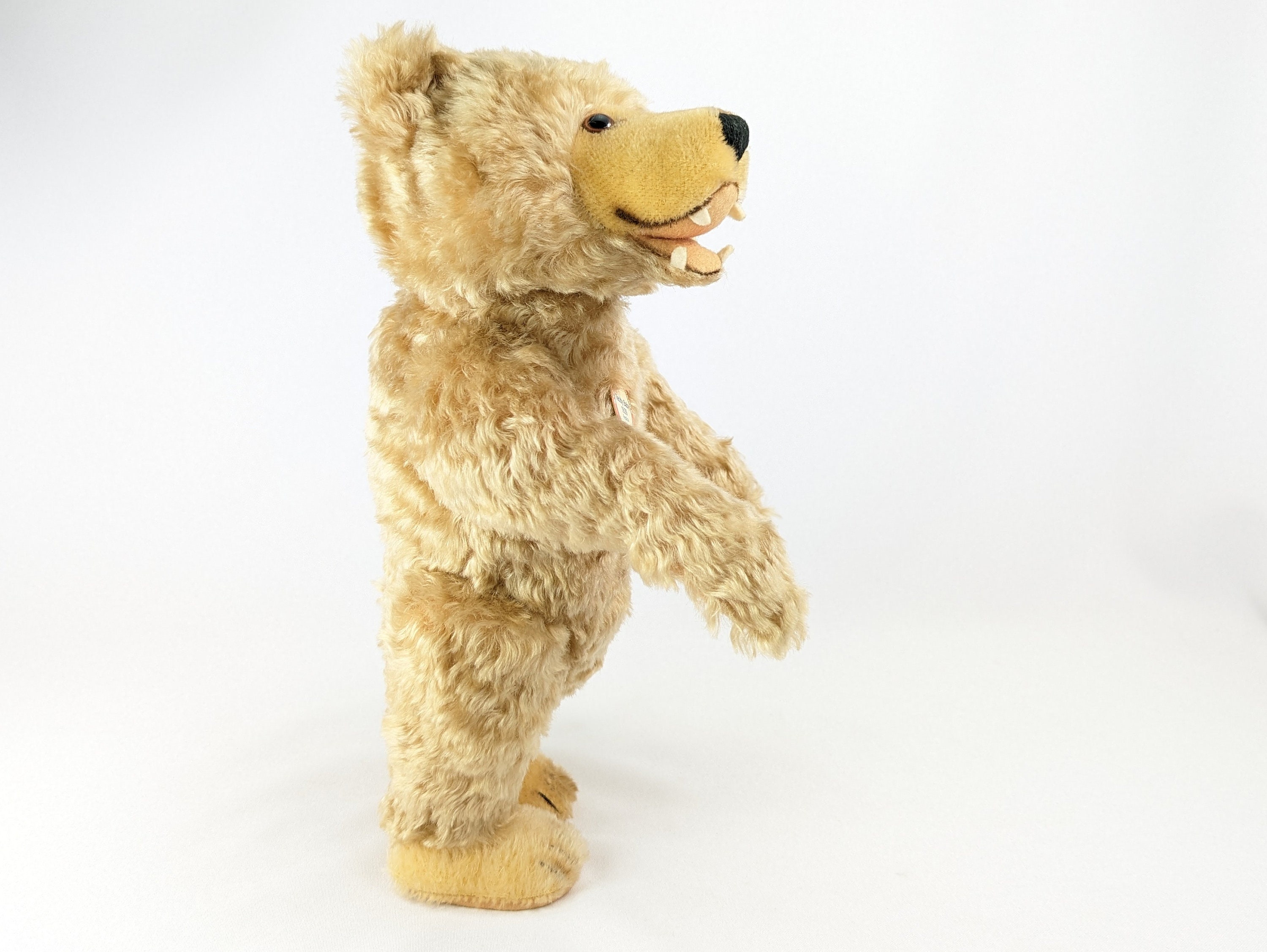 Steiff Teddy Baby 1929 With Teeth Vintage Replica Bear Mint