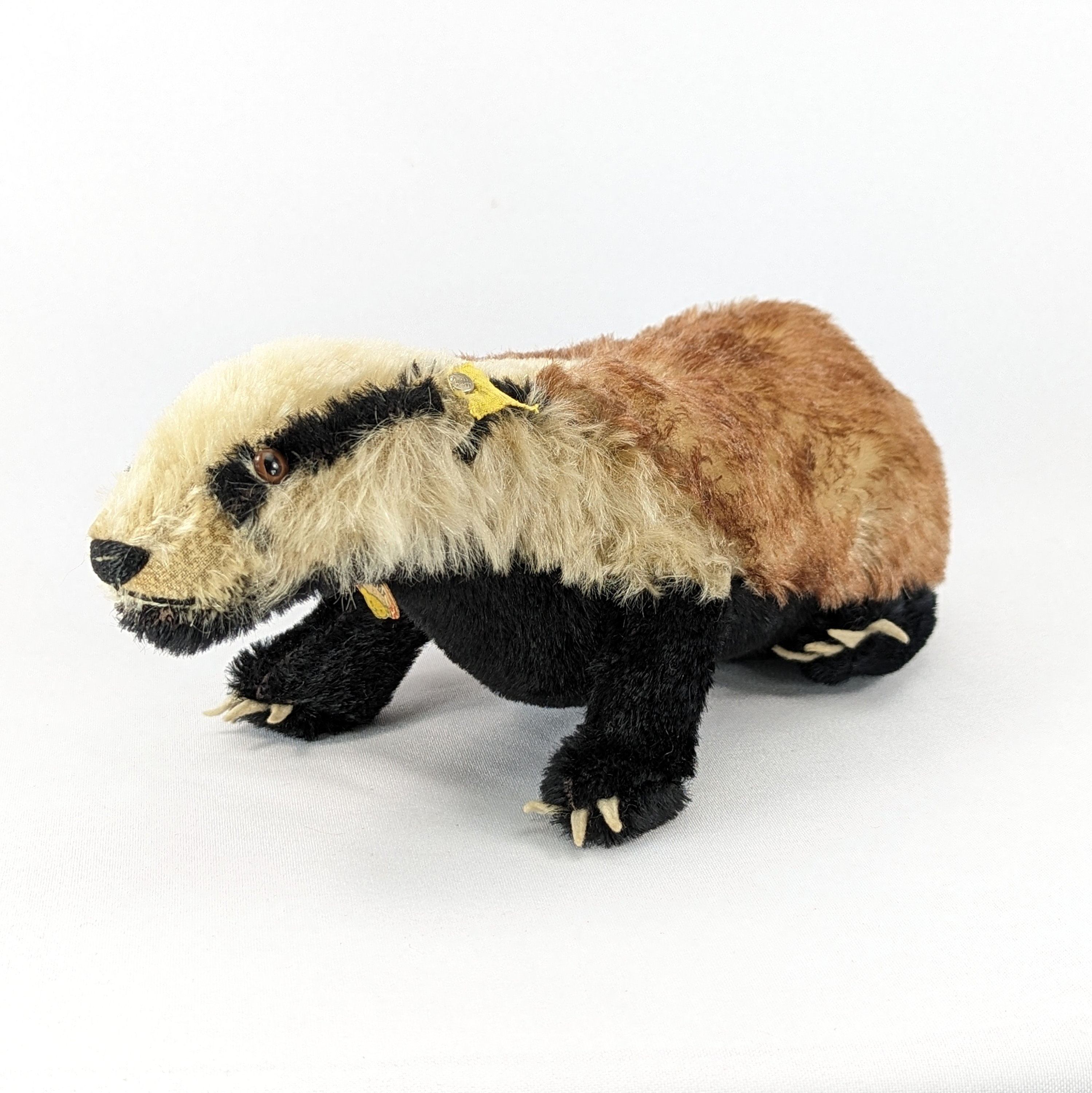 Steiff Badger All Ids Largest 11 Inches Vintage Produced 1963 Only
