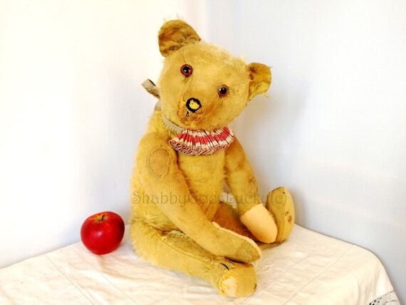 bing teddy