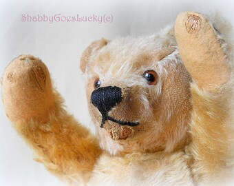 シュタイフ 古い時代のテディベア シュタイフ テディベア 030147 テディベア 中古品 - メルカリ