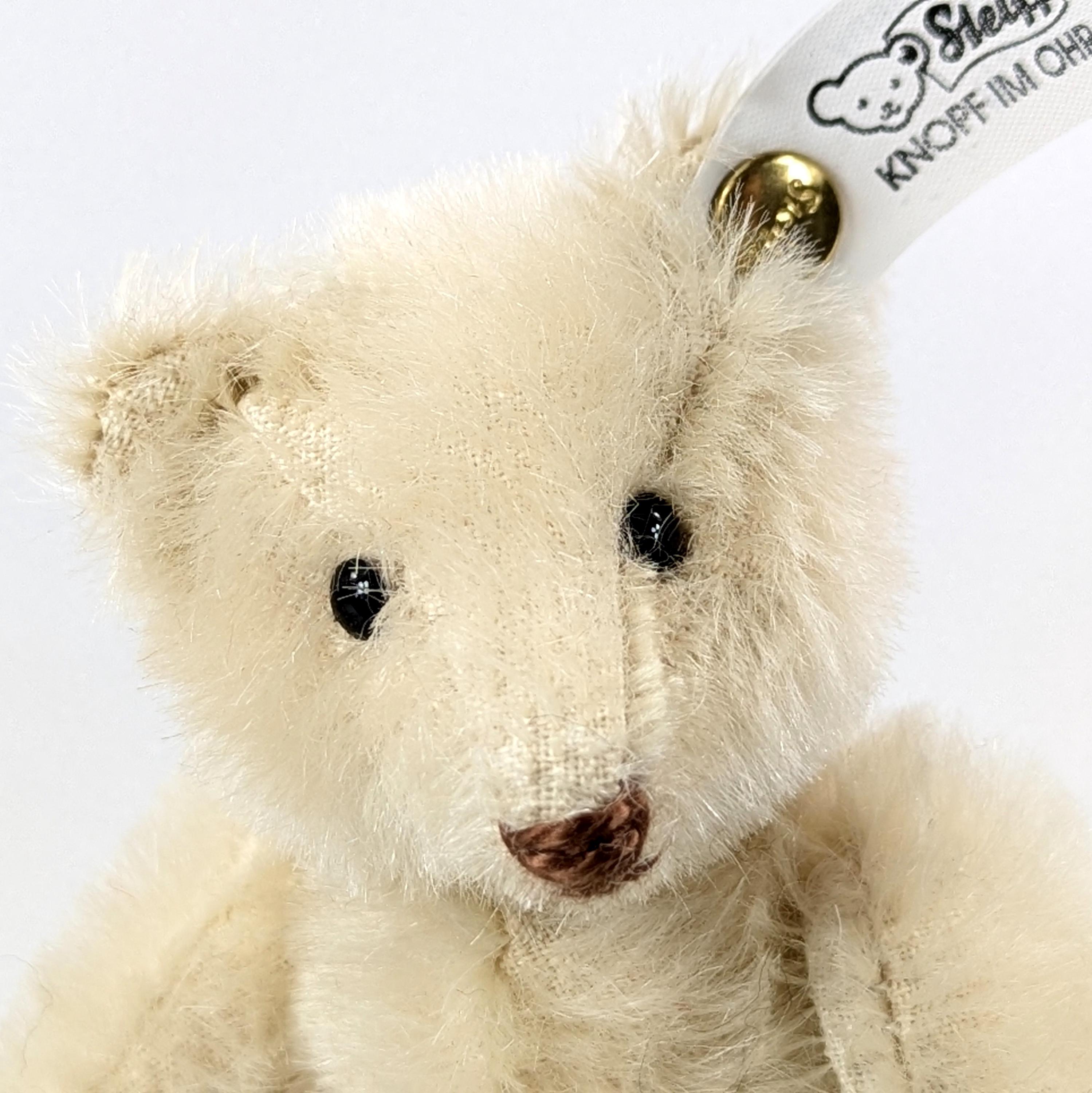 Steiff Press Button Teddy Bear 1909 White Mohair All Ids 7 Inches