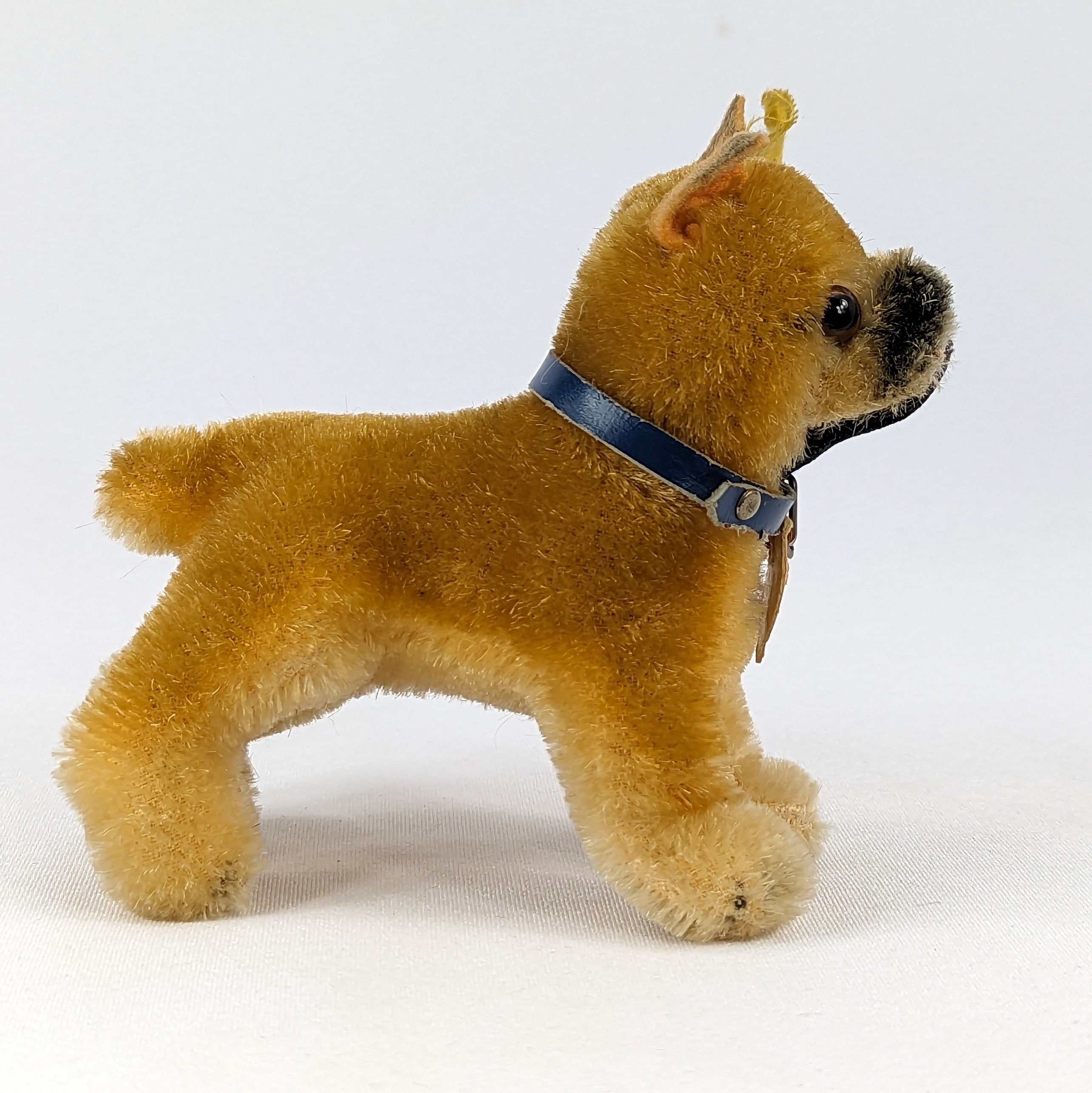 シュタイフ ボクサー犬 立っている すべてのID 最小 4インチ