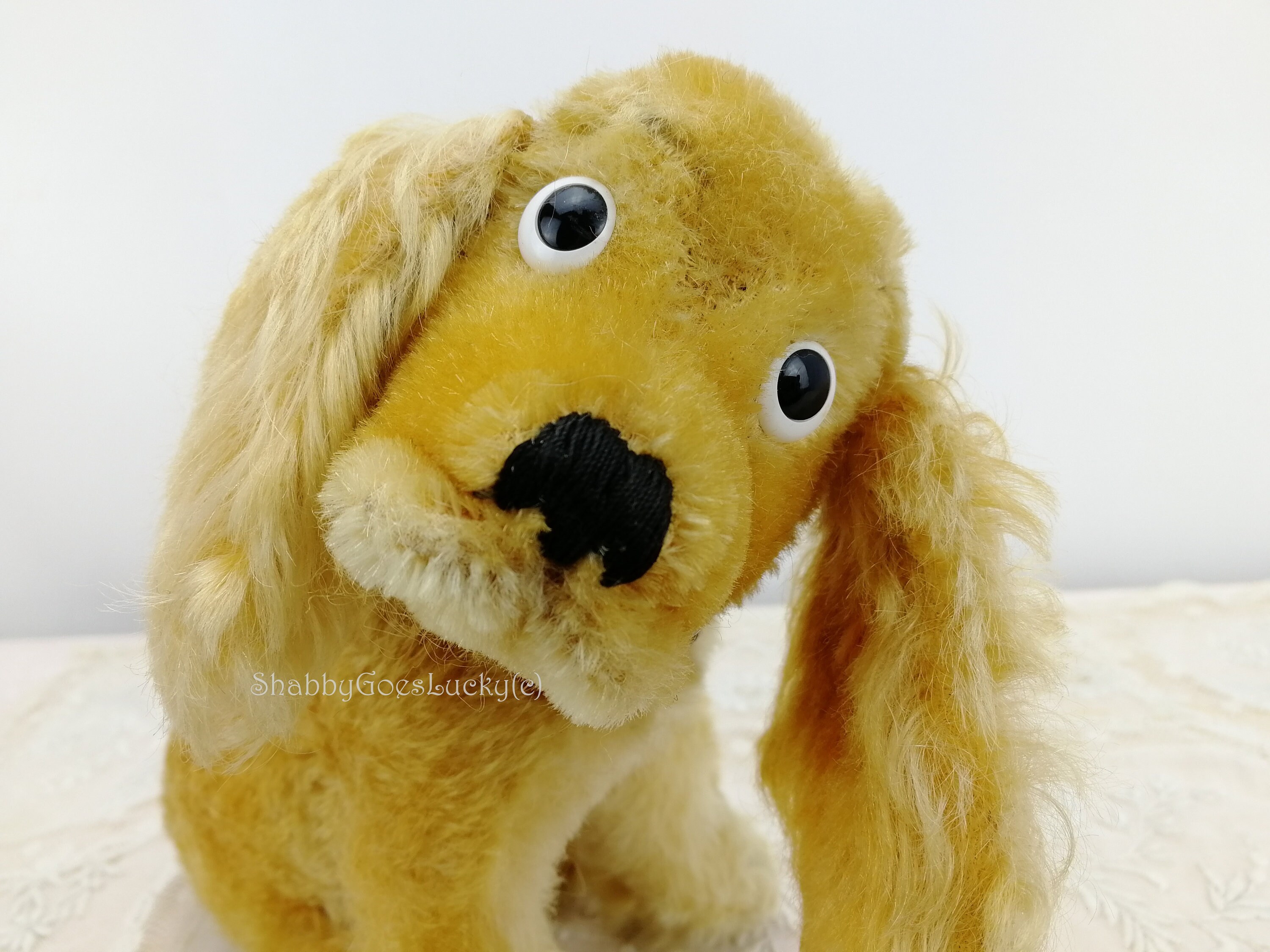 ヴィンテージSteiff 　コッカースパニエル　「Revue Susi 」 s-l400.jpg