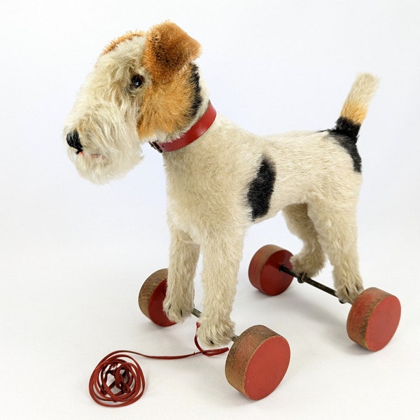 Steiff Foxterrier on eccentric wooden wheels 9 inches vintage 1949 to 1957