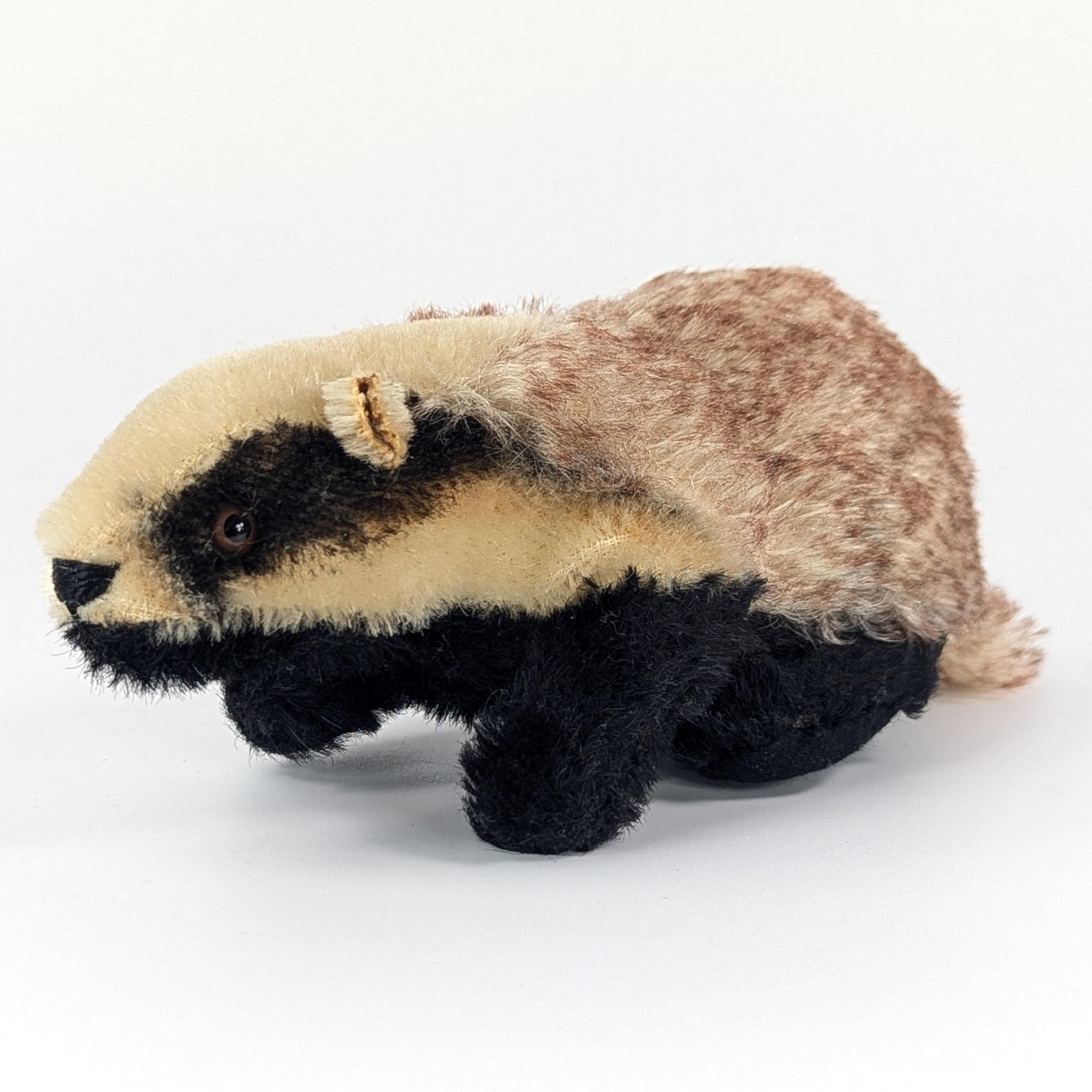 Steiff Badger no IDs smallest 5 inches produced 1963 to 1964 only