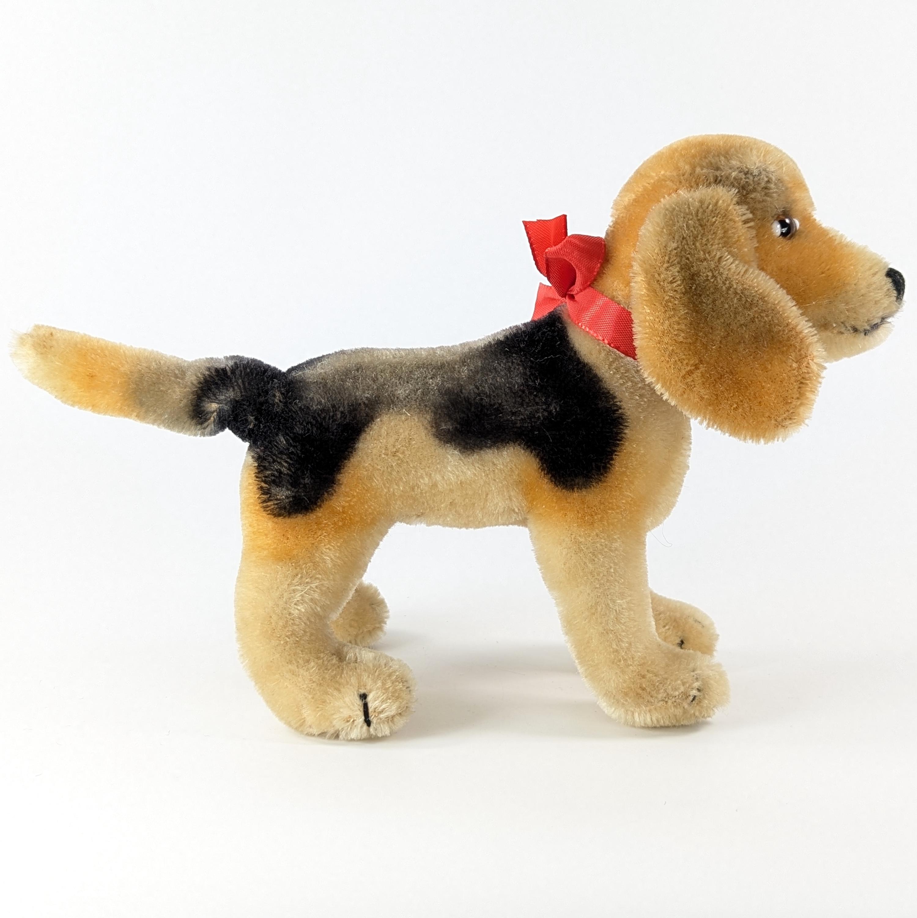 Steiff Beagle Dog With ID Standing Midi Size 7 Inches Vintage 1959