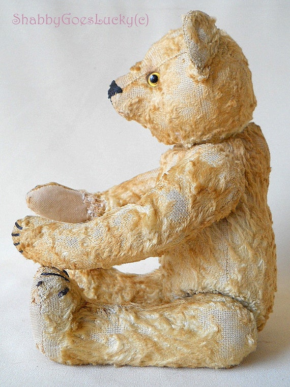 small steiff bear