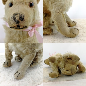 Steiff dog Chow Chow prewar 1928 to 1931 only large 14 inches sitting image 7