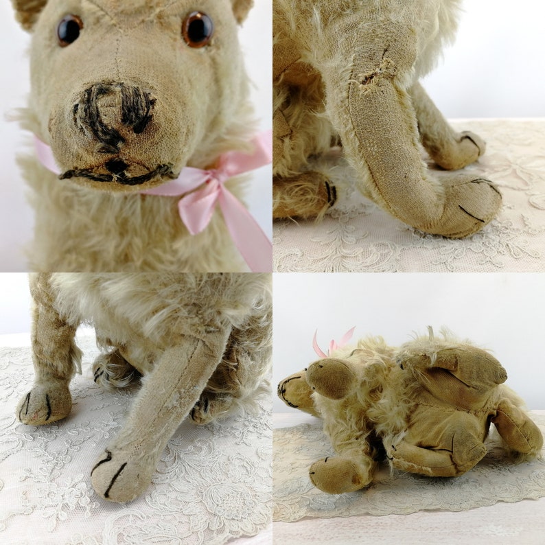 Steiff dog Chow Chow prewar 1928 to 1931 only large 14 inches sitting image 7