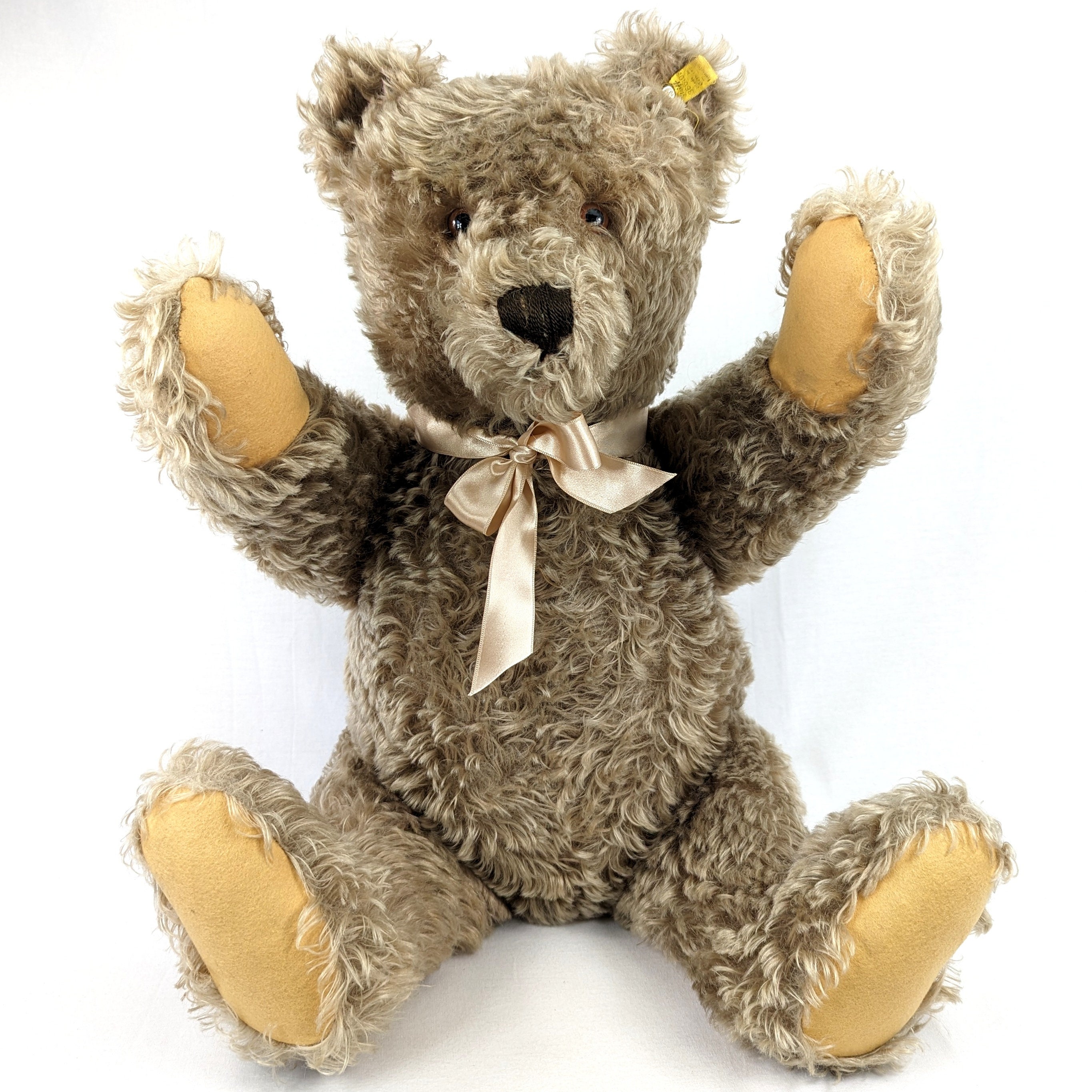 Steiff Teddy Bear With Ids Large 25 Inches Vintage Produced 1959