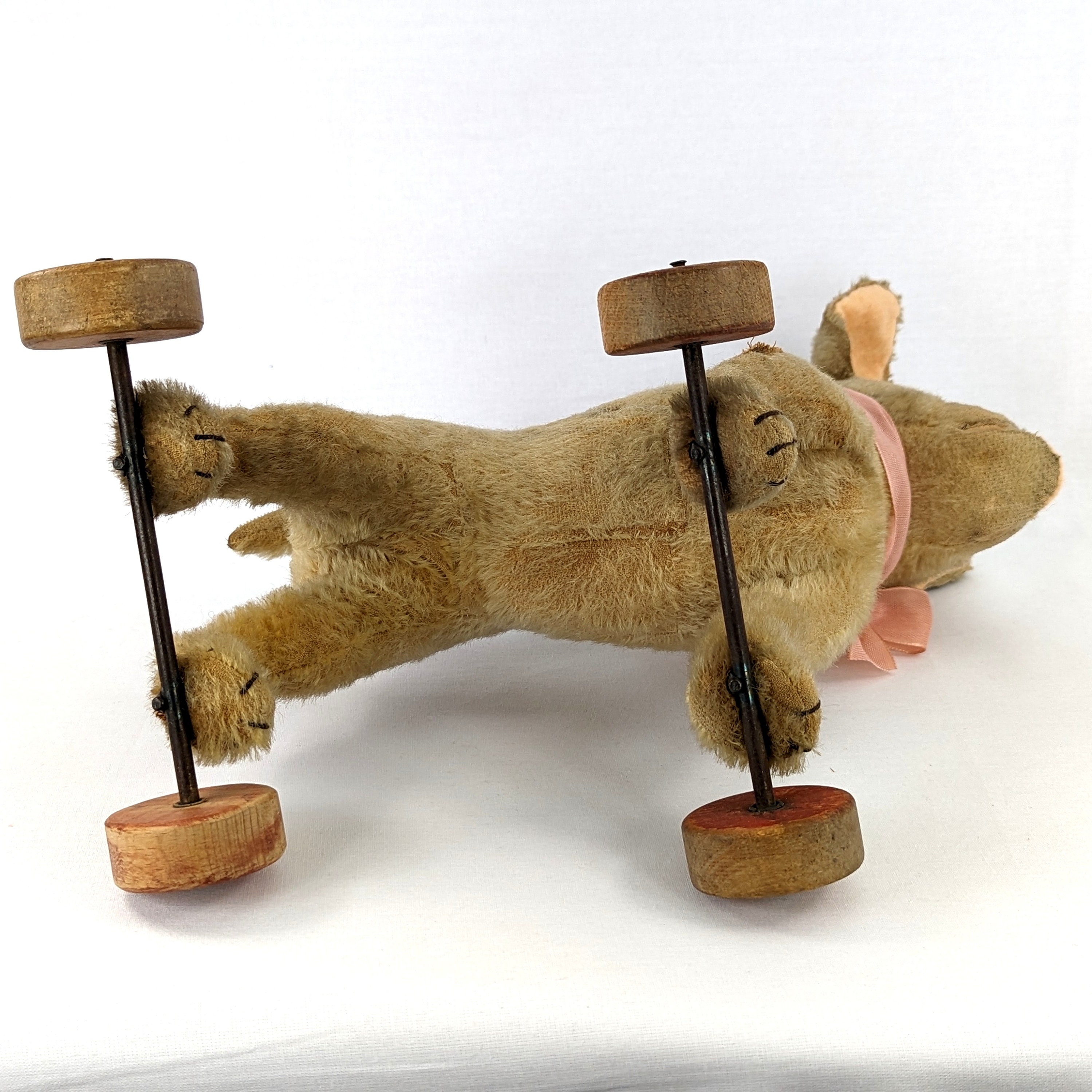 Steiff Bully Bulldog on Wheels With Button 11 Inches Well Loved