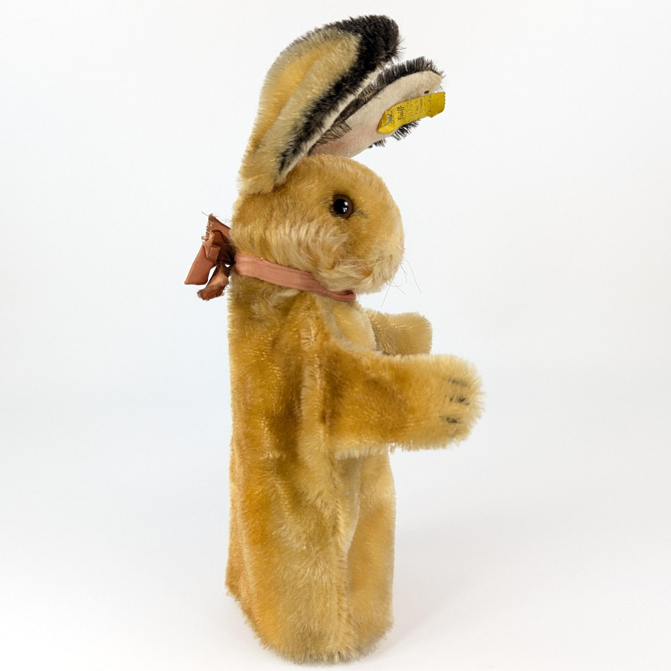 シュタイフ バニー ラビット ハンドパペット（全ID付き） 1959年から