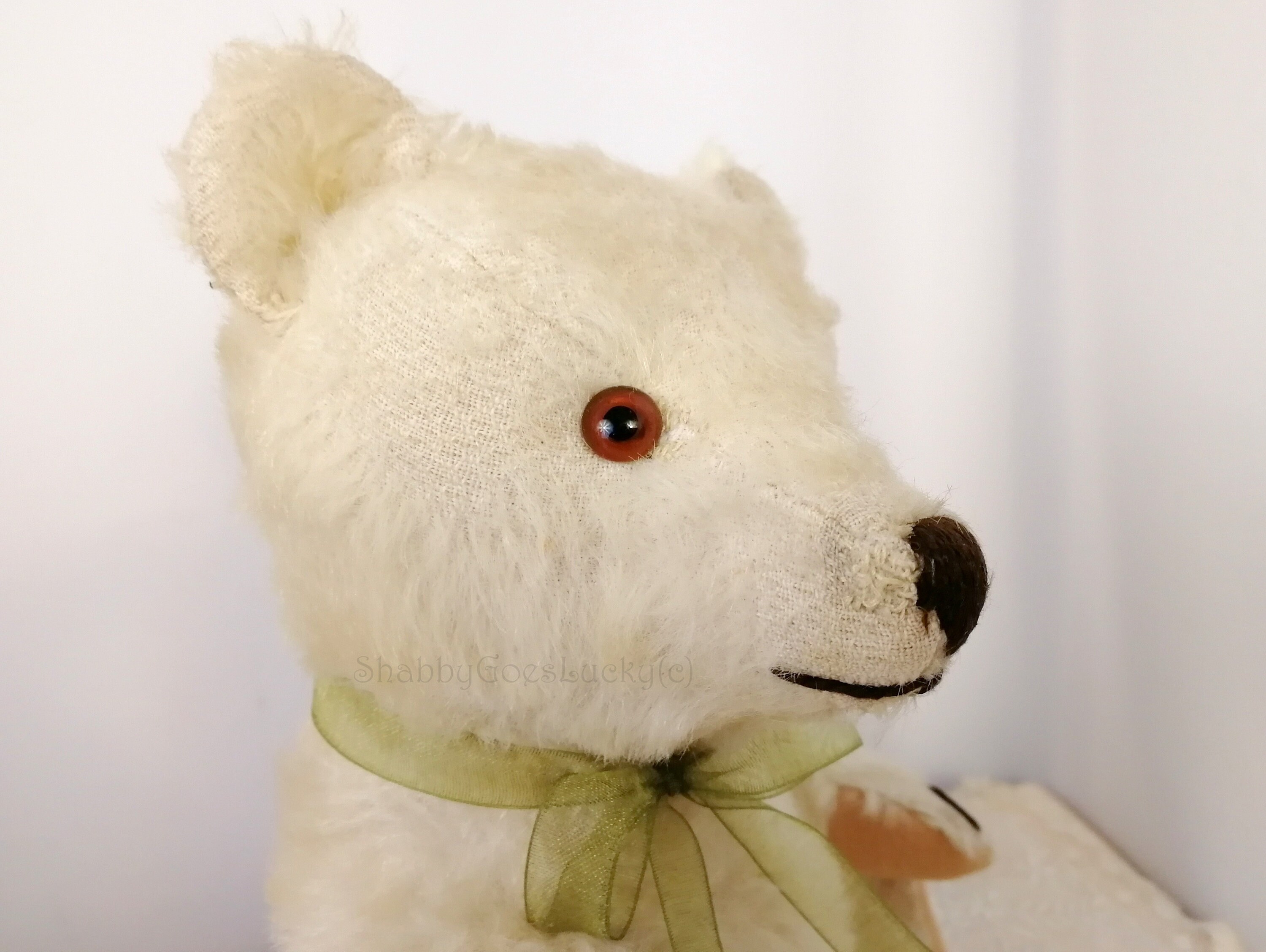 White Steiff Teddy Bear With US Zone Tag 11 Inches Tall Vintage