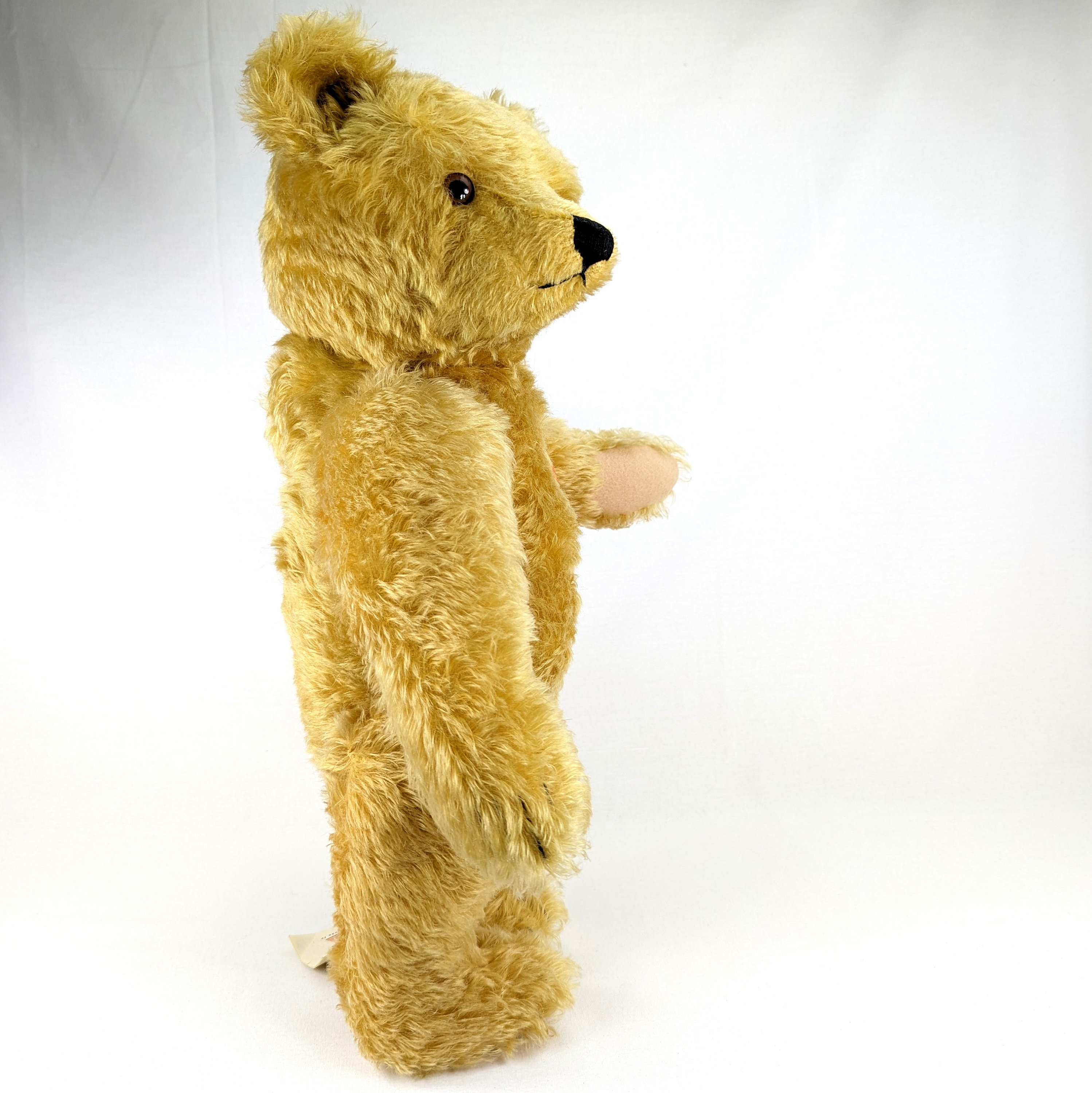 Steiff MusicTeddy 1951 レプリカ Steiff MusicTeddy 1951 レプリカ Steiff MusicTeddy 1951 レプリカ