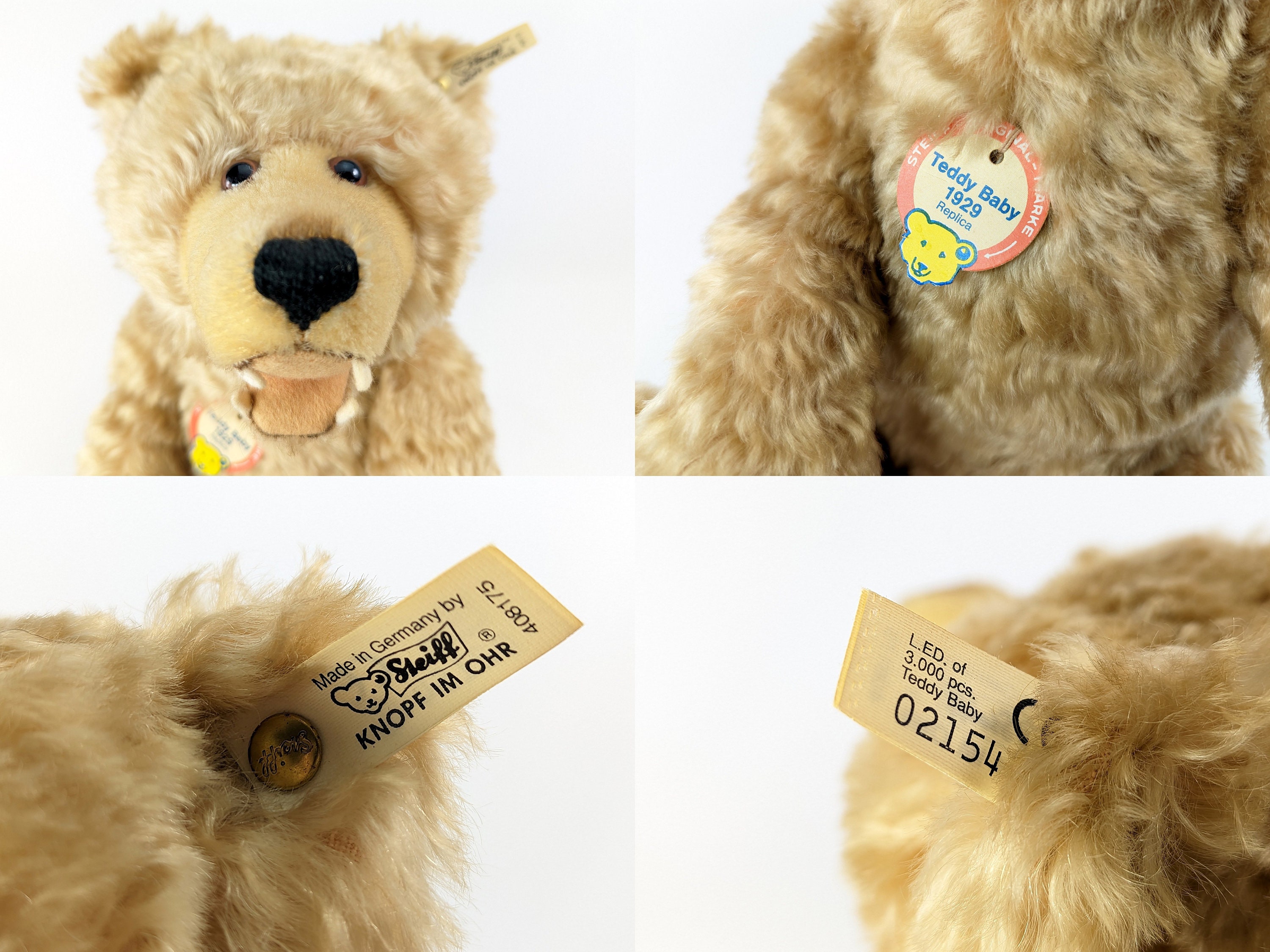 Steiff Teddy Baby 1929 With Teeth Vintage Replica Bear Mint