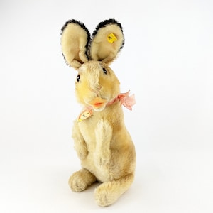 Steiff Hard to Find White Rabbit Henry Fancy Daisy - Etsy