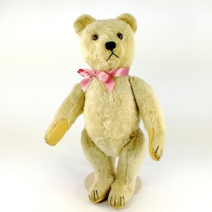 Old White Steiff Original Teddy Bear 13 inches tall vintage 1950 to 1964 produced