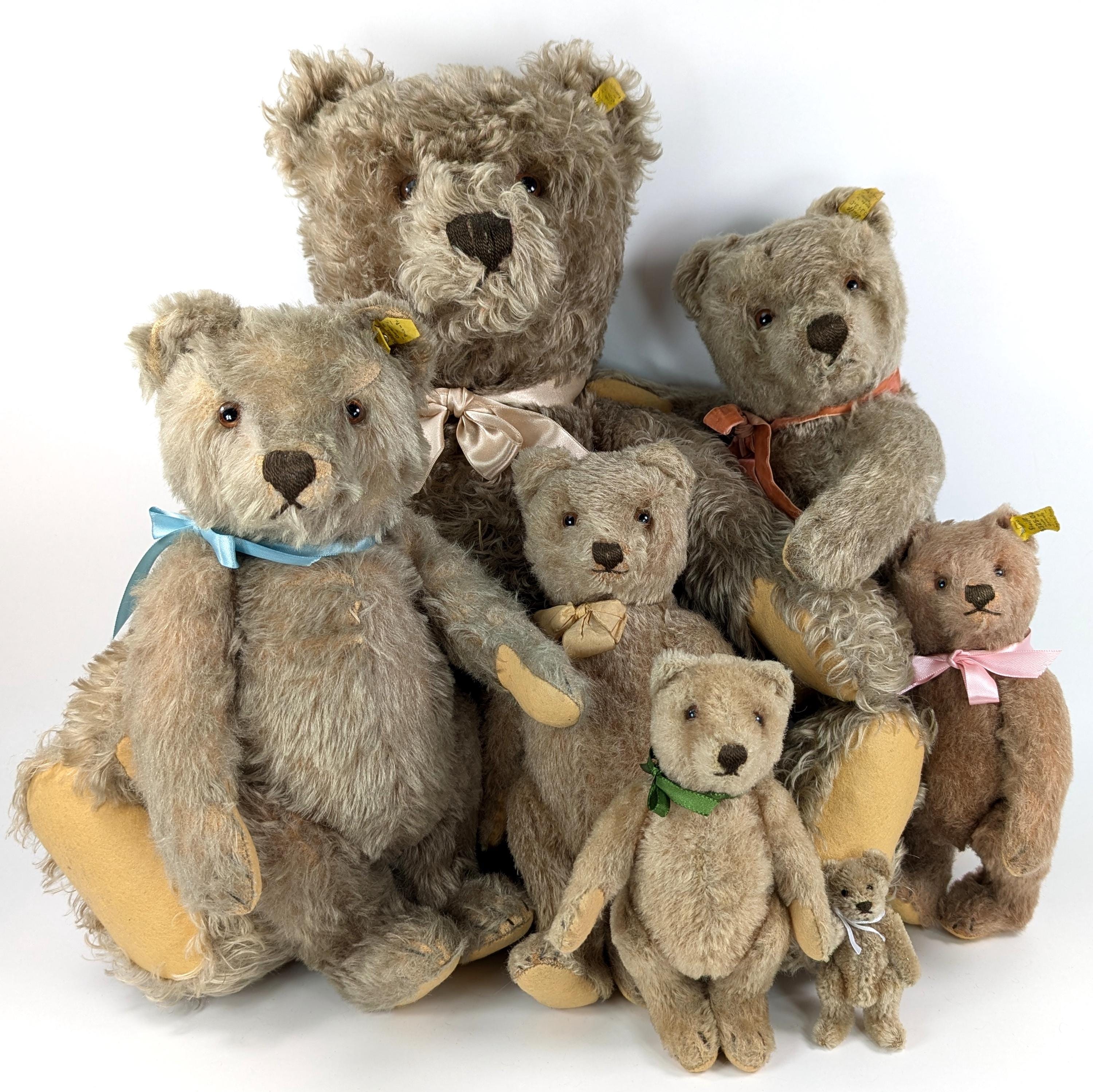 Ours en peluche de STEIFF (Gebraucht) in Lausanne für CHF 199.95 - mit
