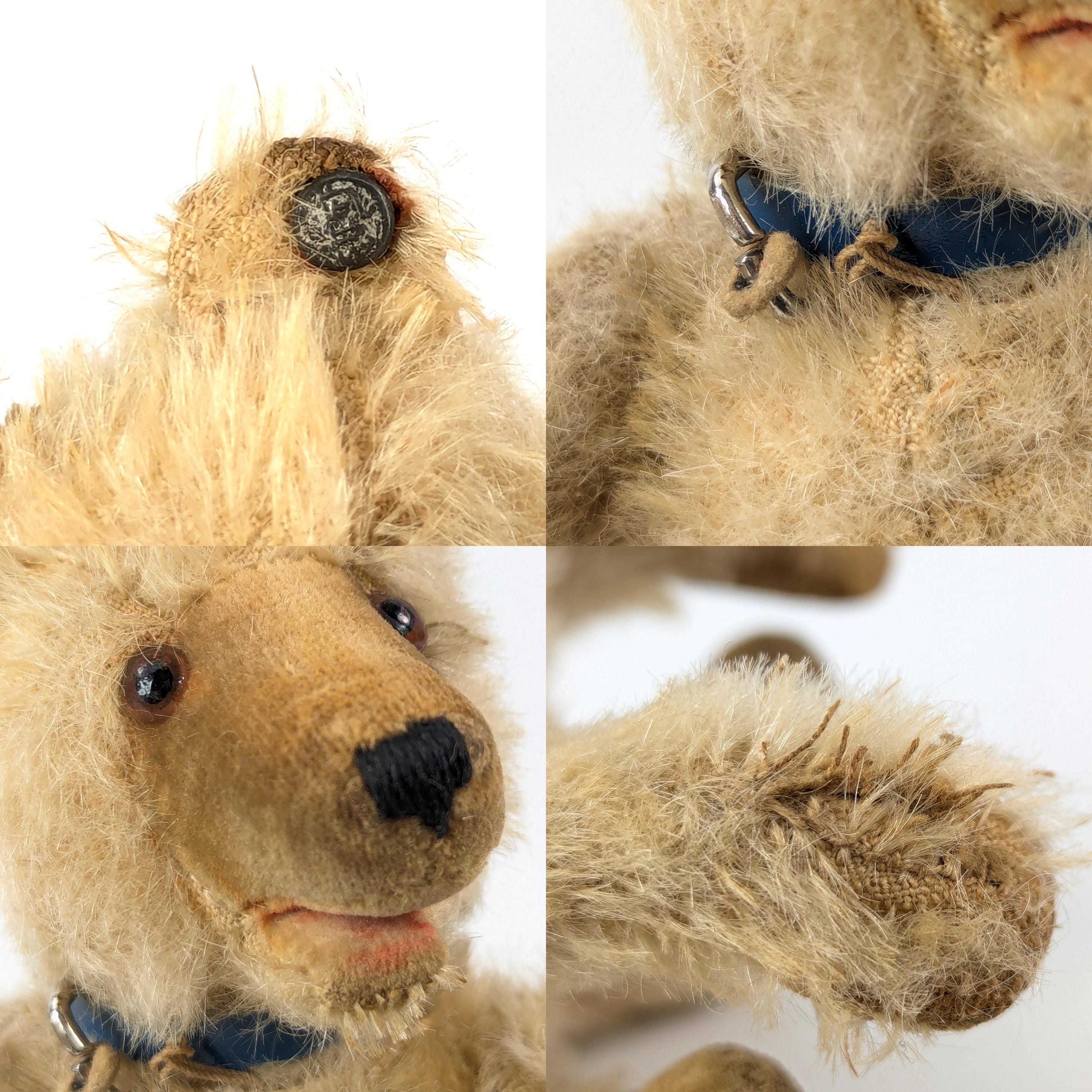 Steiff Teddy Baby Bear With Ear Button Small 6 Inches Tall Vintage