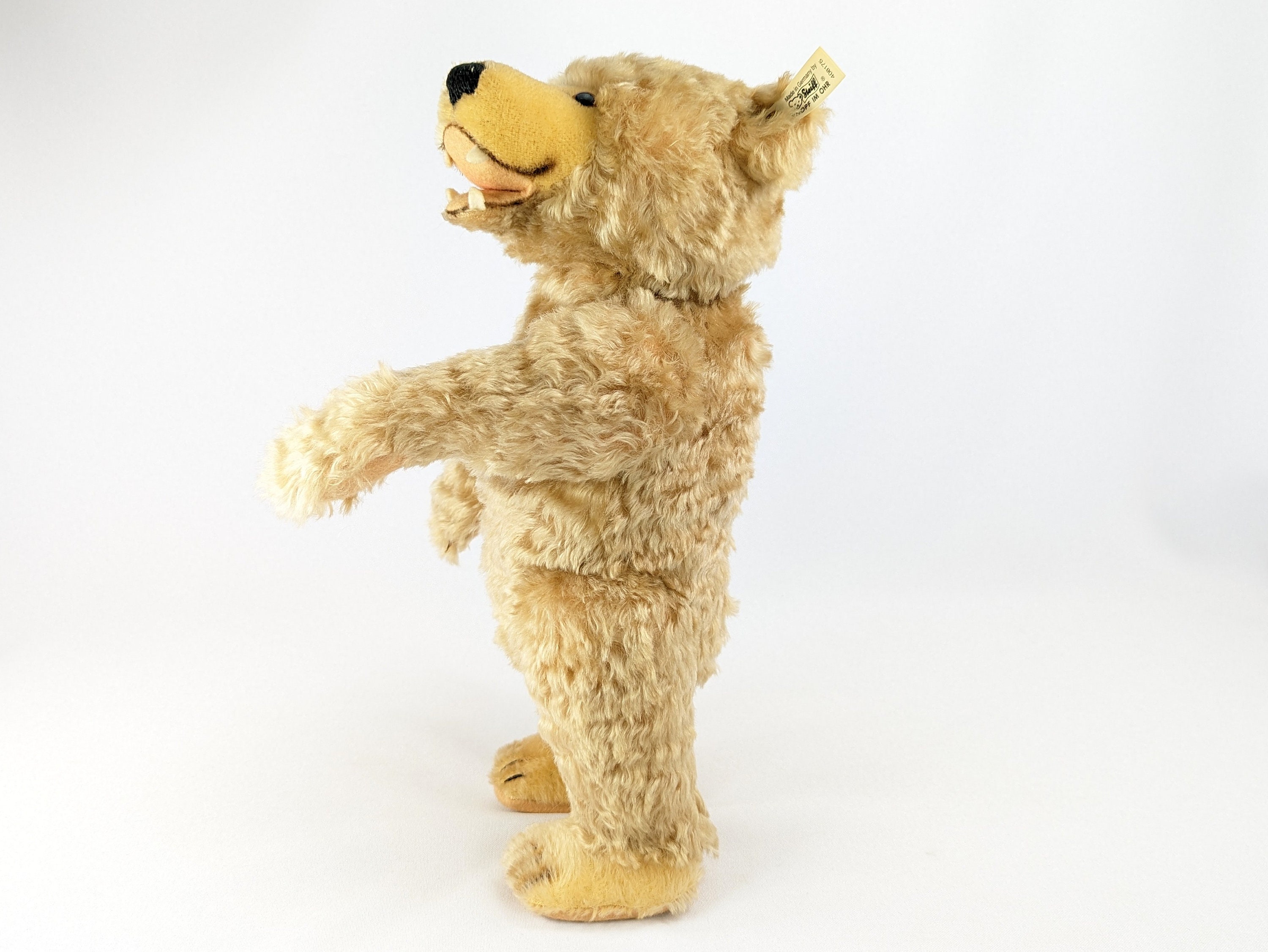 Steiff Teddy Baby 1929 With Teeth Vintage Replica Bear Mint