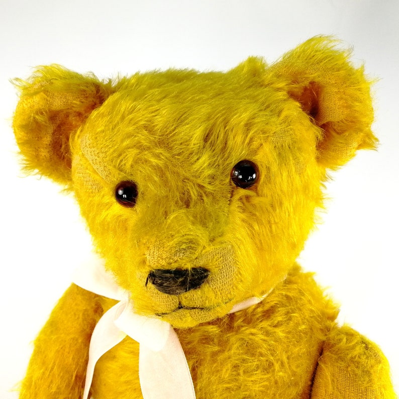 A portrait of the old yellow Petz teddy bear. He has fluffy ears. The amber coloured glass eyes are catching the light. His white bow is shining.
