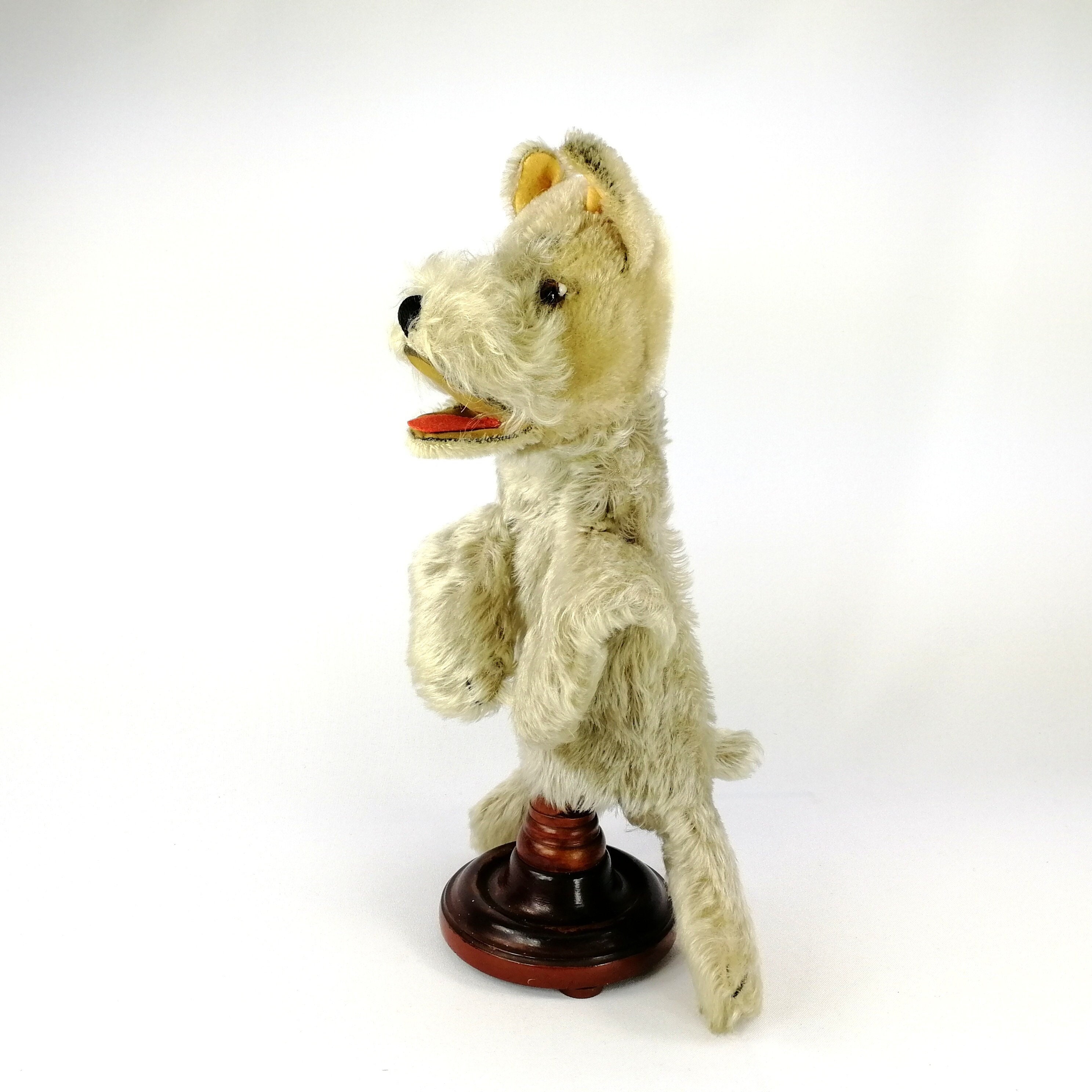 1954-70年代 ドイツ製 Steiff 犬 シュナウザー Schnauzer Tessie