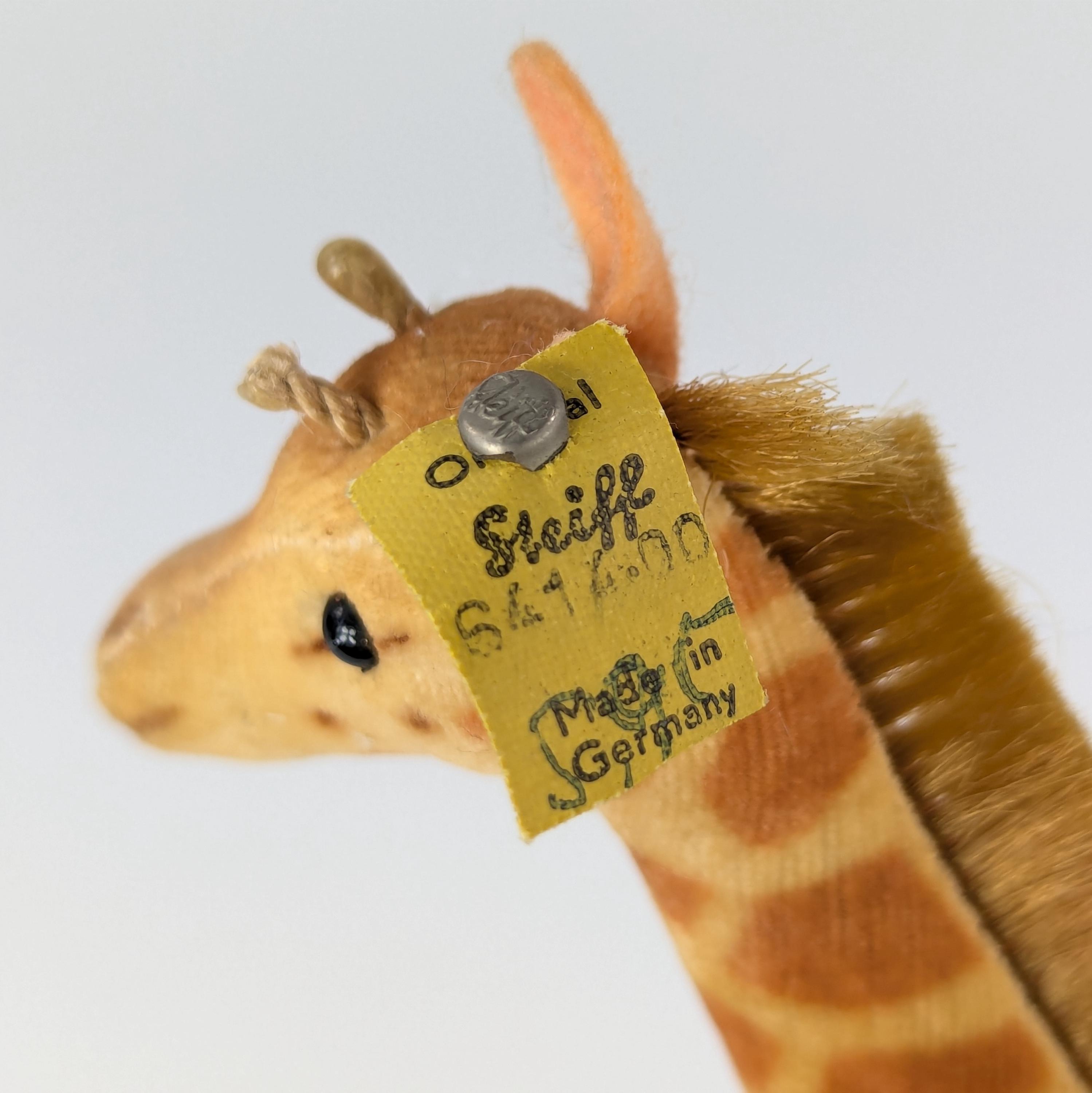 Steiff Giraffe With Ids 1965 to 1967 Vintage Small 6 Inches