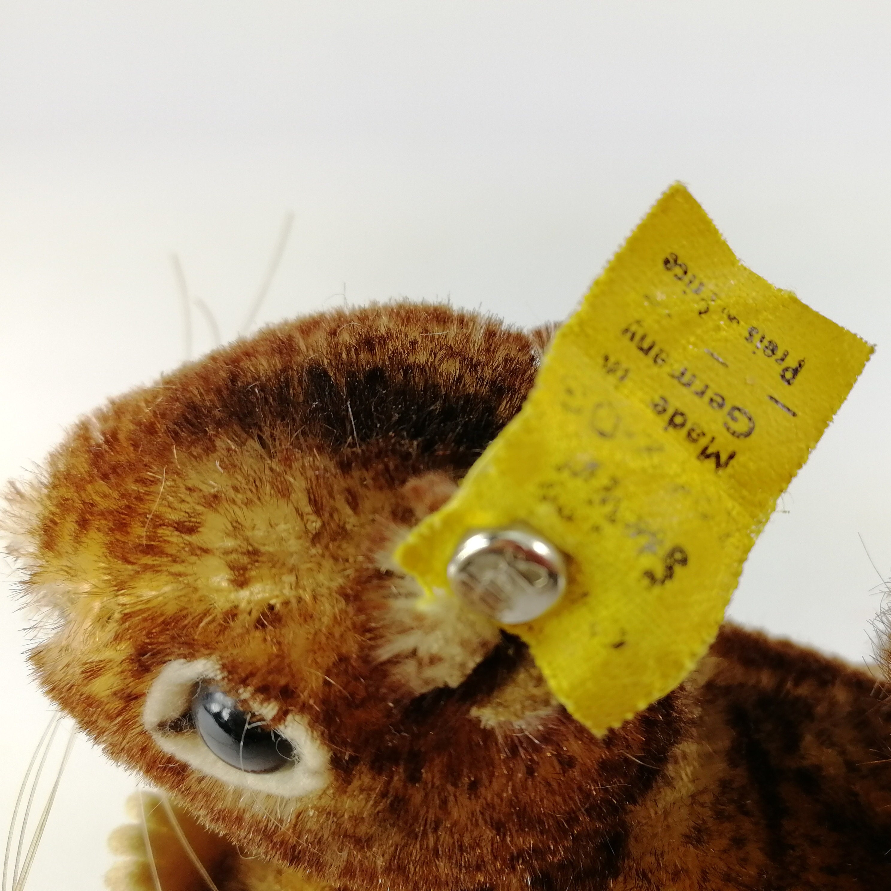Steiff Squirrel Perri All Ids Vintage 1965 to 1967 Smallest 4