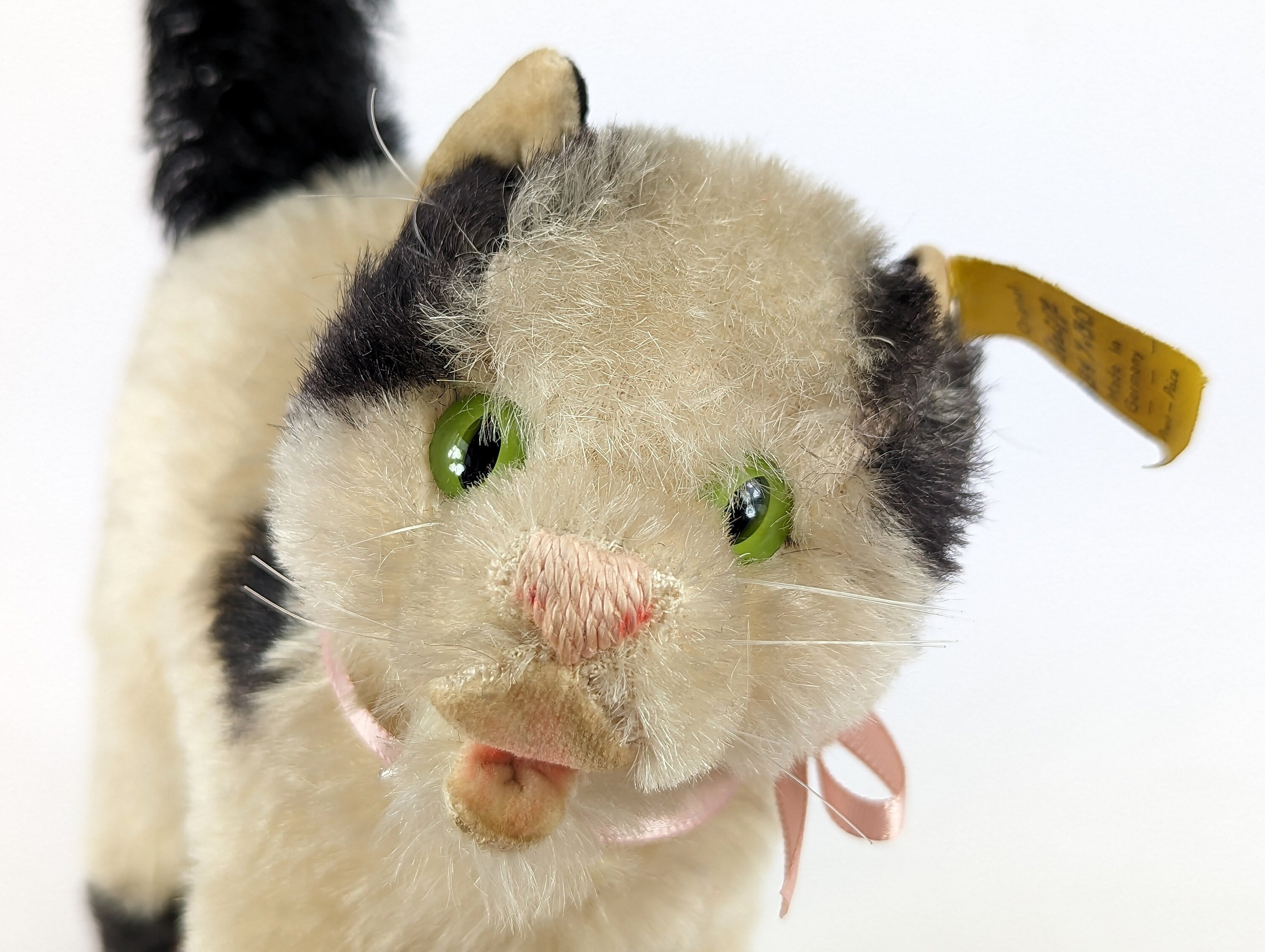 シュタイフ猫ガッシーID付き大型7インチヴィンテージ1966～1967年製造