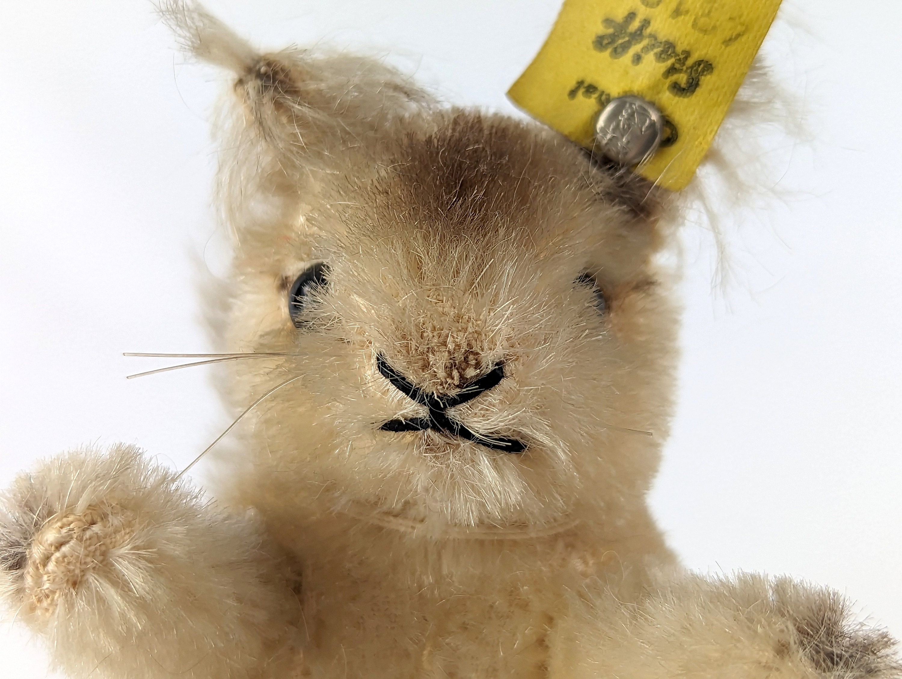 シュタイフ★Possy Squirrel 14cm★リスのポッシー★Steiff Steiff Squirrel Possy All Ids Smallest 4 Inches Vintage 1965