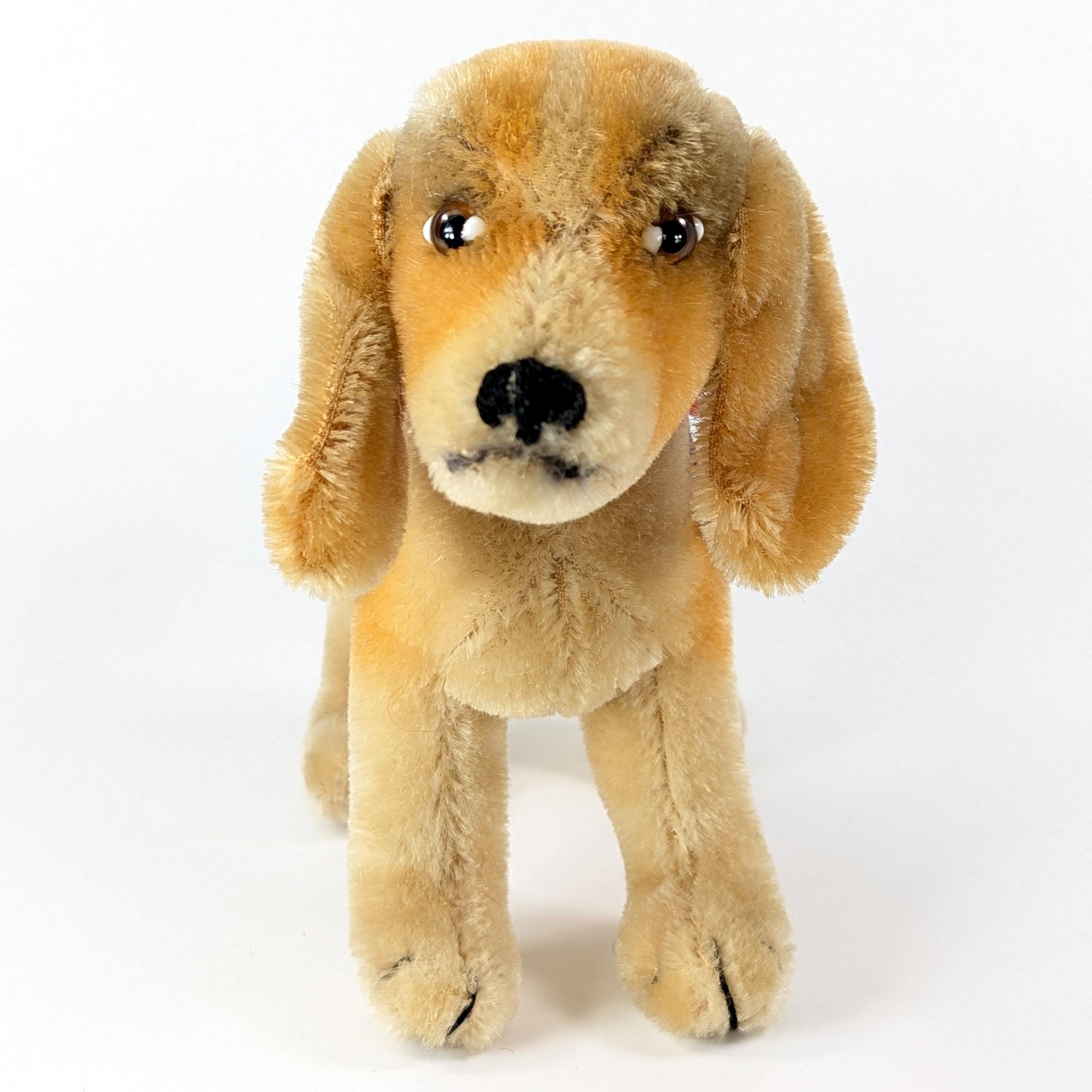 Steiff Beagle Dog With ID Standing Midi Size 7 Inches Vintage 1959