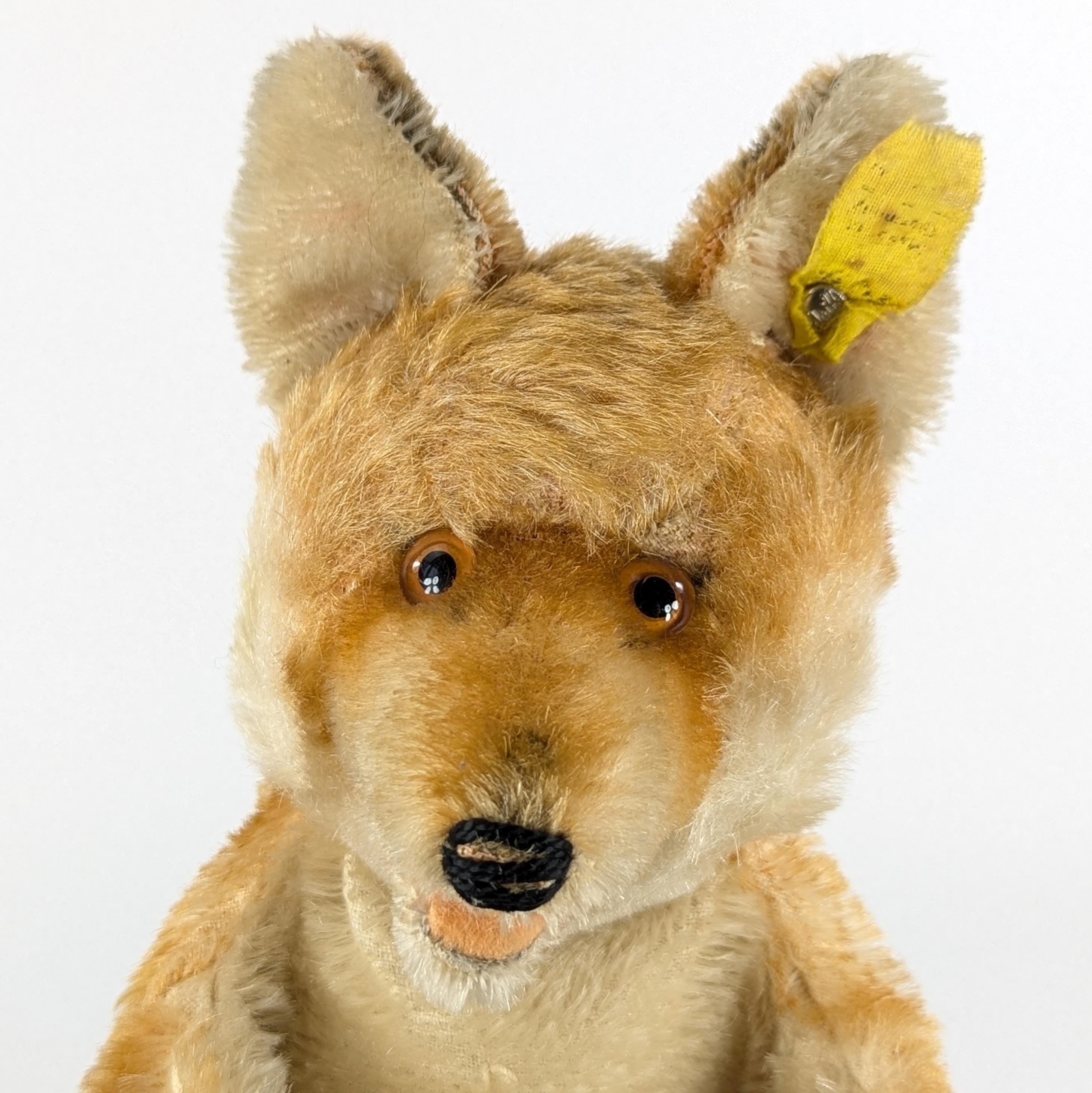 Steiff Fox Hand Puppet With Ids Vintage 1952 to 1963 Produced Only