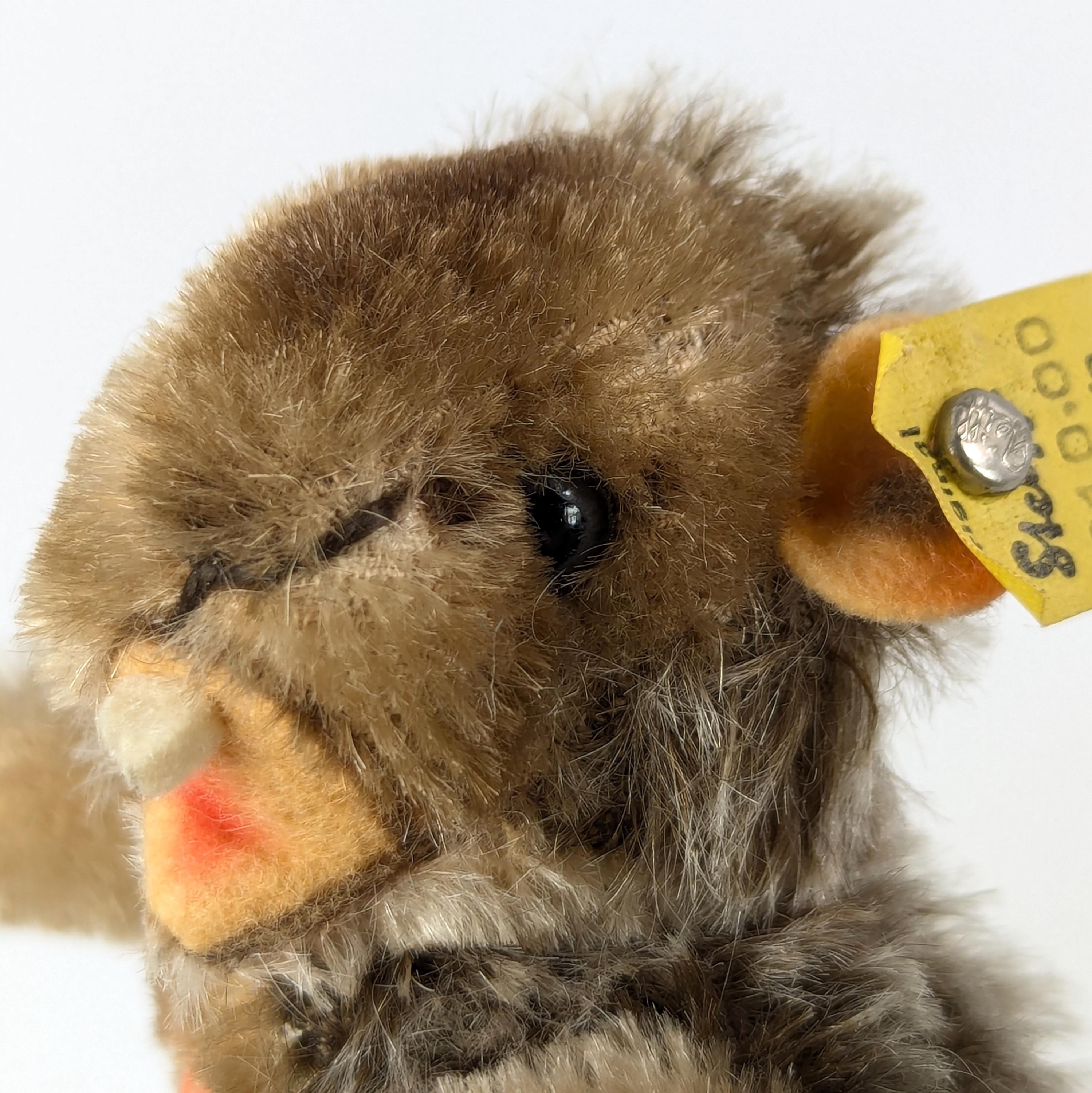 Steiff ビーバー　　ヴィンテージ Steiff Beaver All Ids Smallest 4 Inches Vintage 1965 to 1967