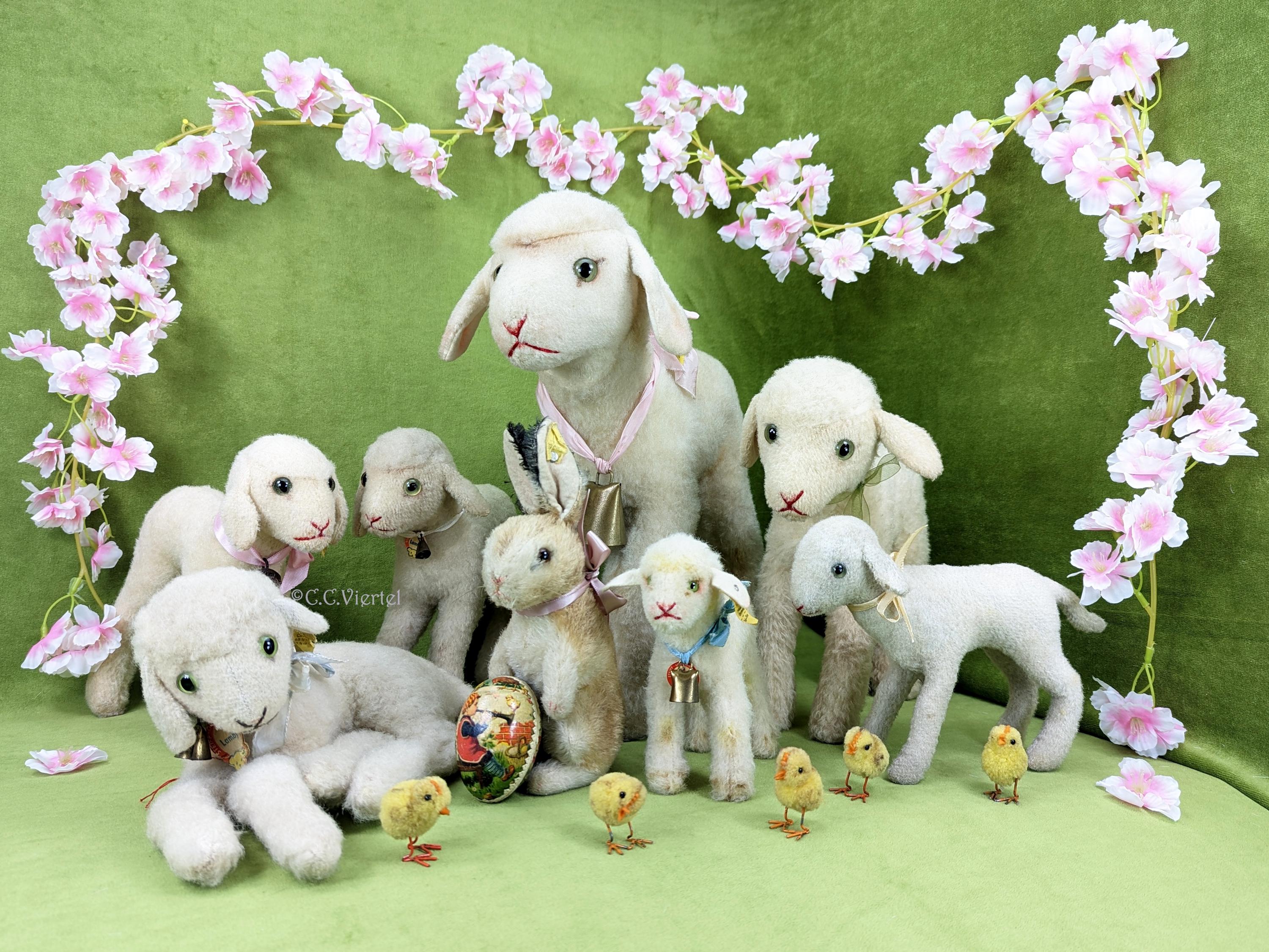 Steiff Lamb With ID Vintage 1953 to 1964 Produced Standing 6