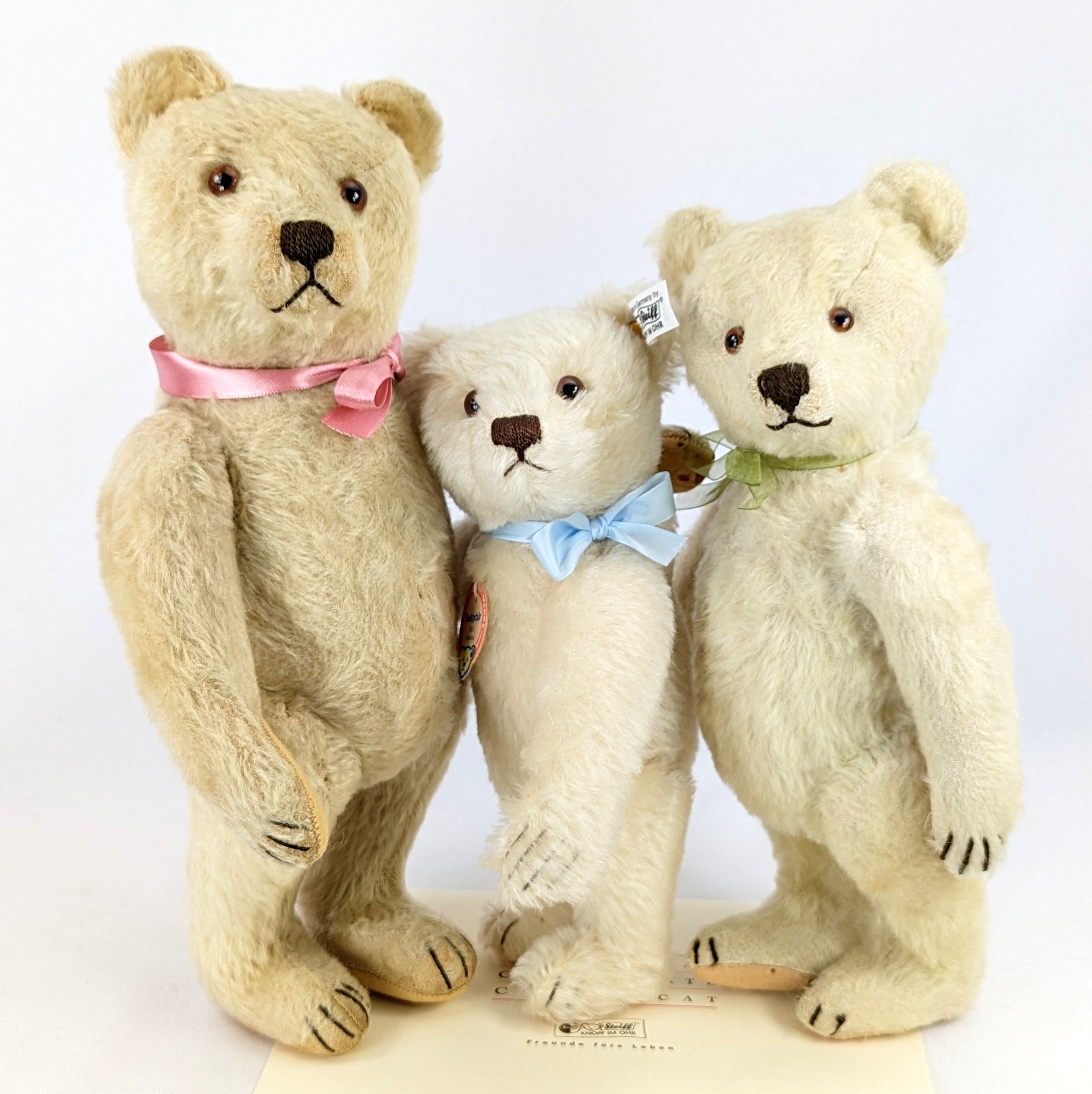 Steiff White Teddy Bear All Ids 1953 Replica Mint 10 Inches