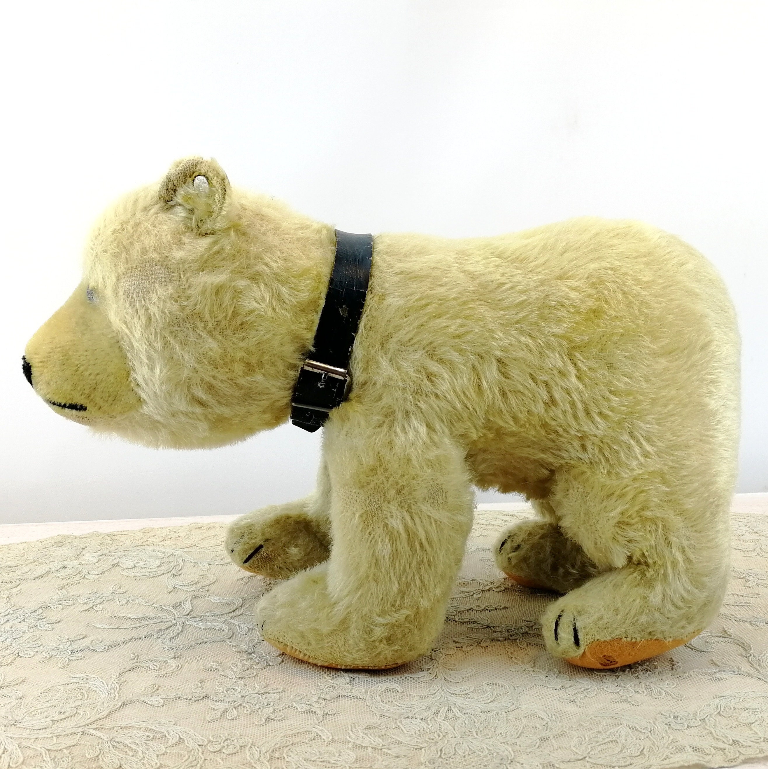 Steiff Polar Bear With ID Largest 12 Inches Vintage 1952 to