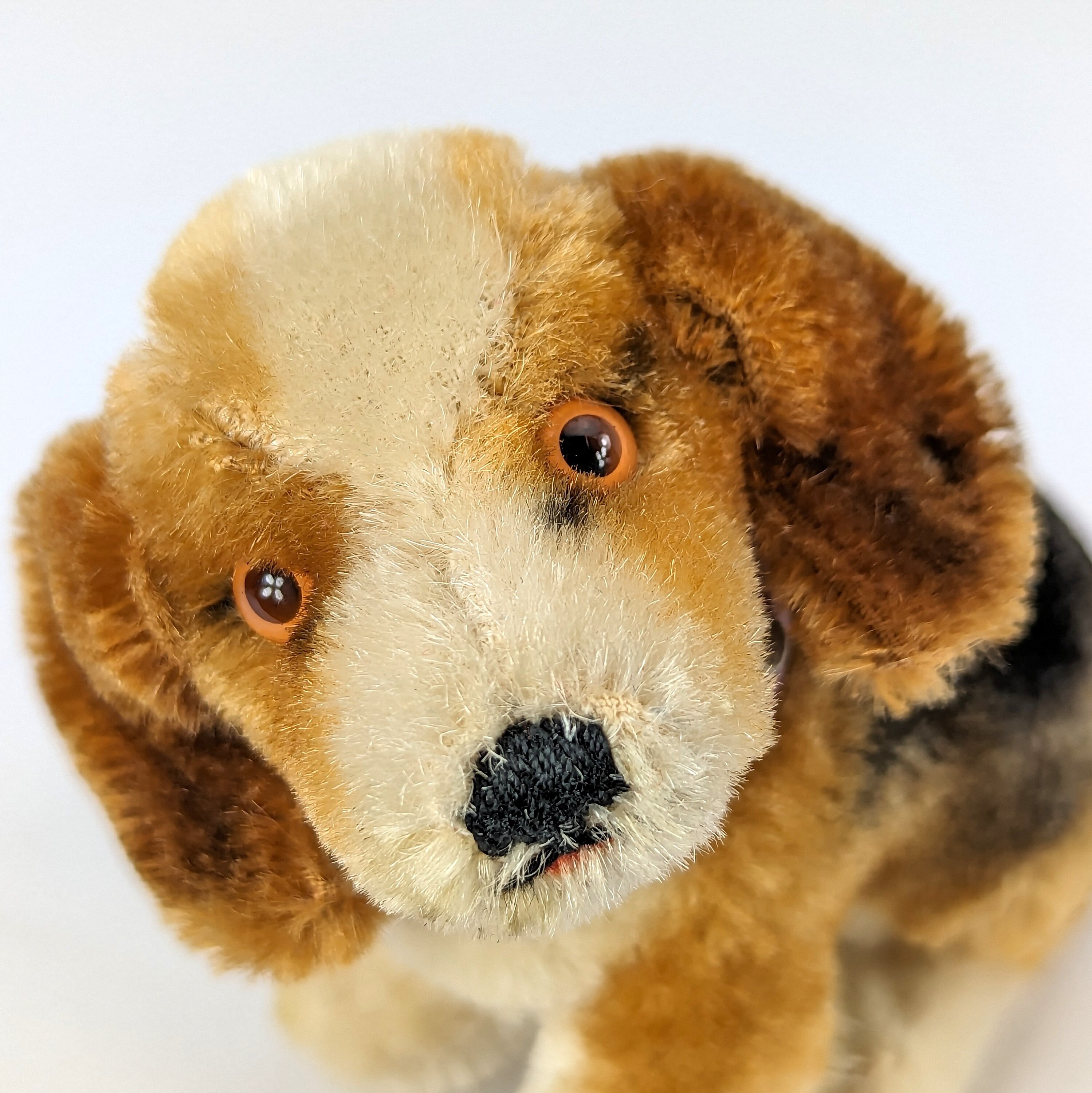 Steiff Beagle Dog With ID Smallest 4 Inches Vintage 1968 to 1975