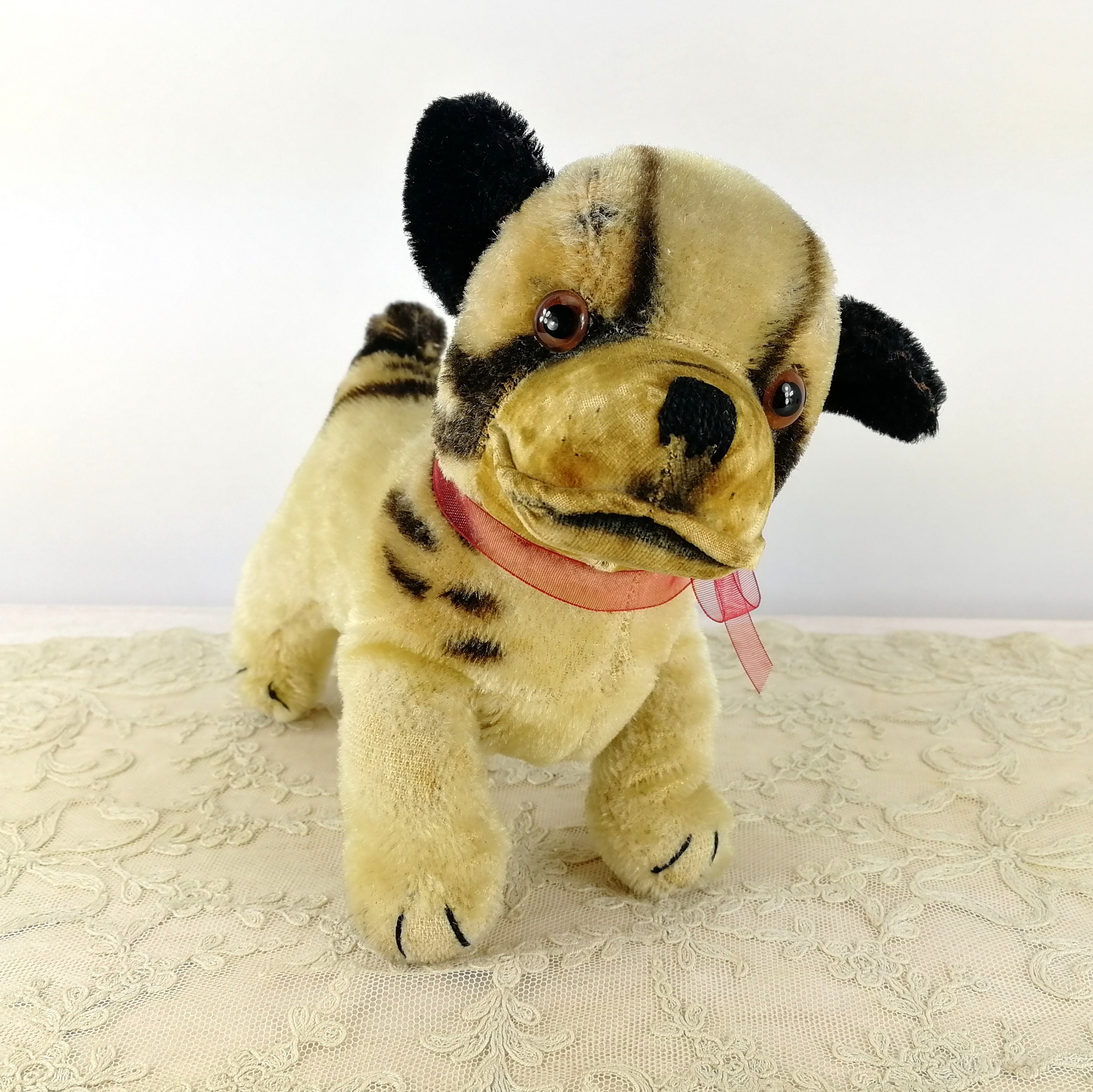 シュタイフ ブルドッグ ブリー ミディ 6インチ ヴィンテージ 1952年