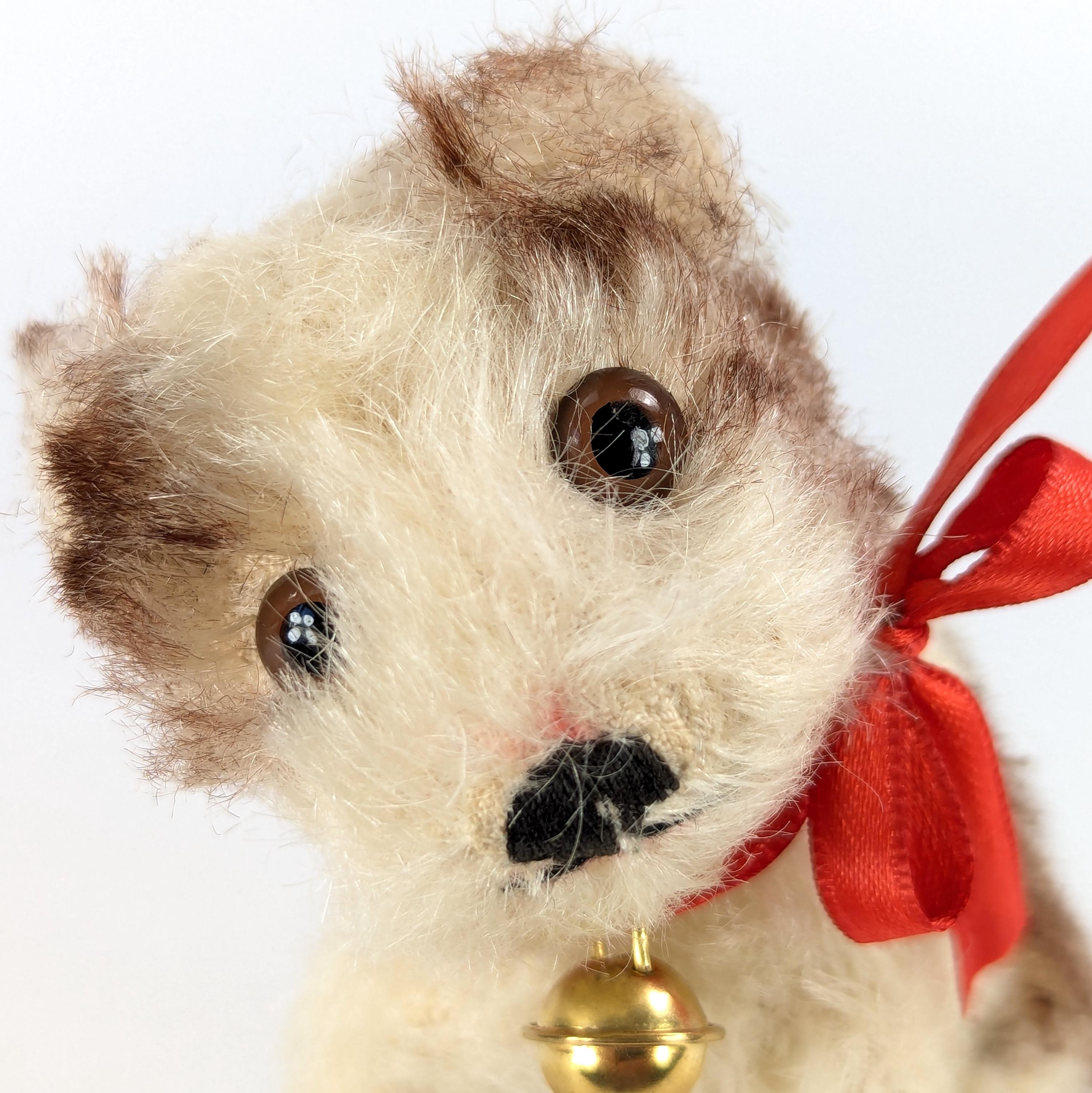 Steiff Puppy Dog Molly With Ids 1966 to 1967 Vintage Smallest 4