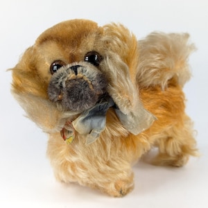 Steiff Dog Pekinese all IDs second largest 5 plus inches standing Vintage 1959 to 1964 produced