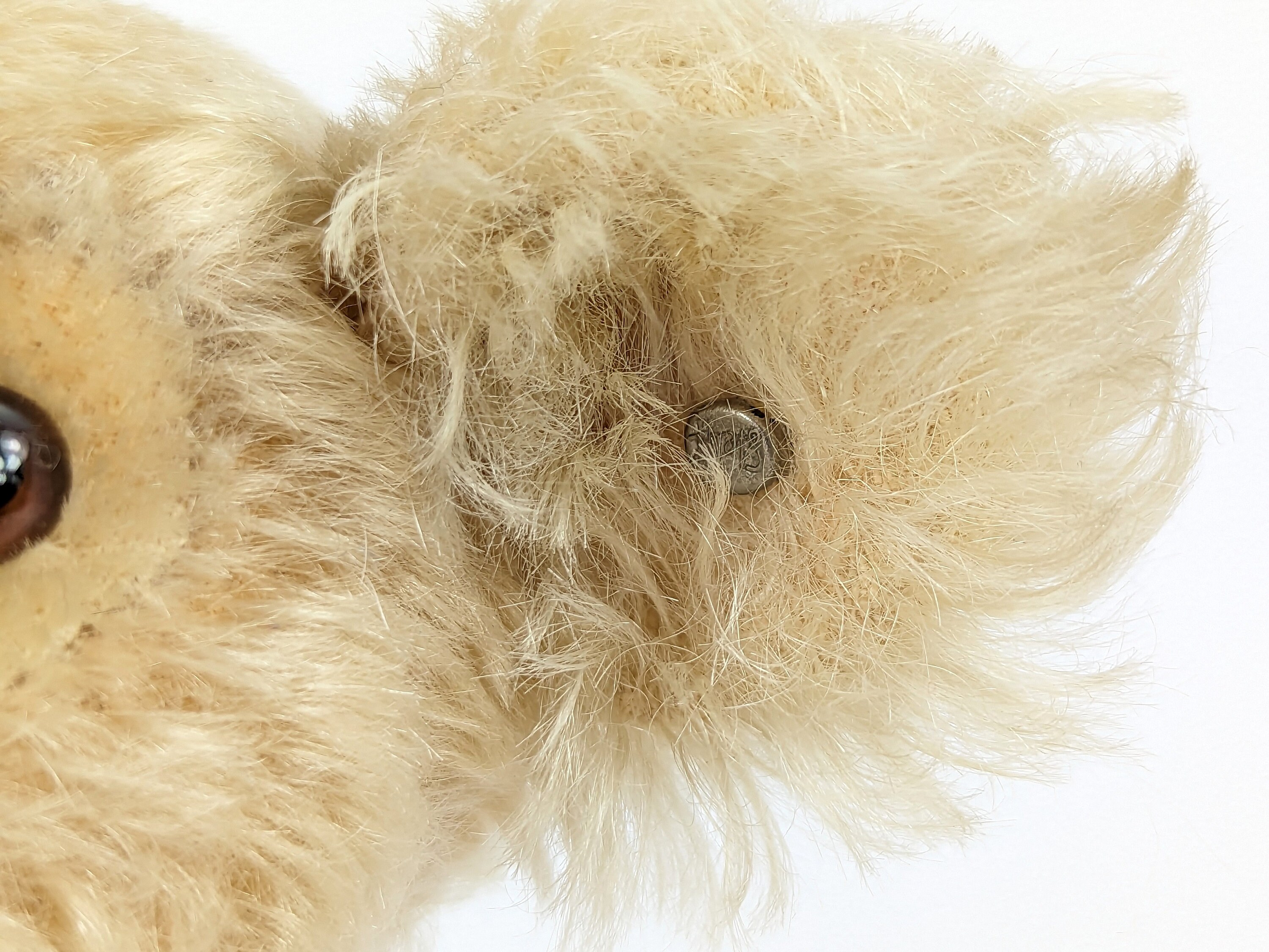 Original Steiff Koala Kuscheltier Plüschtier im Kanton Zürich
