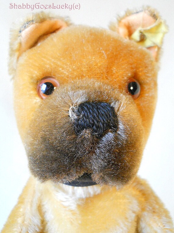 シュタイフ ボクサー犬 シュタイフのハンドパペット、ボクサー犬、ID付き、1951年から