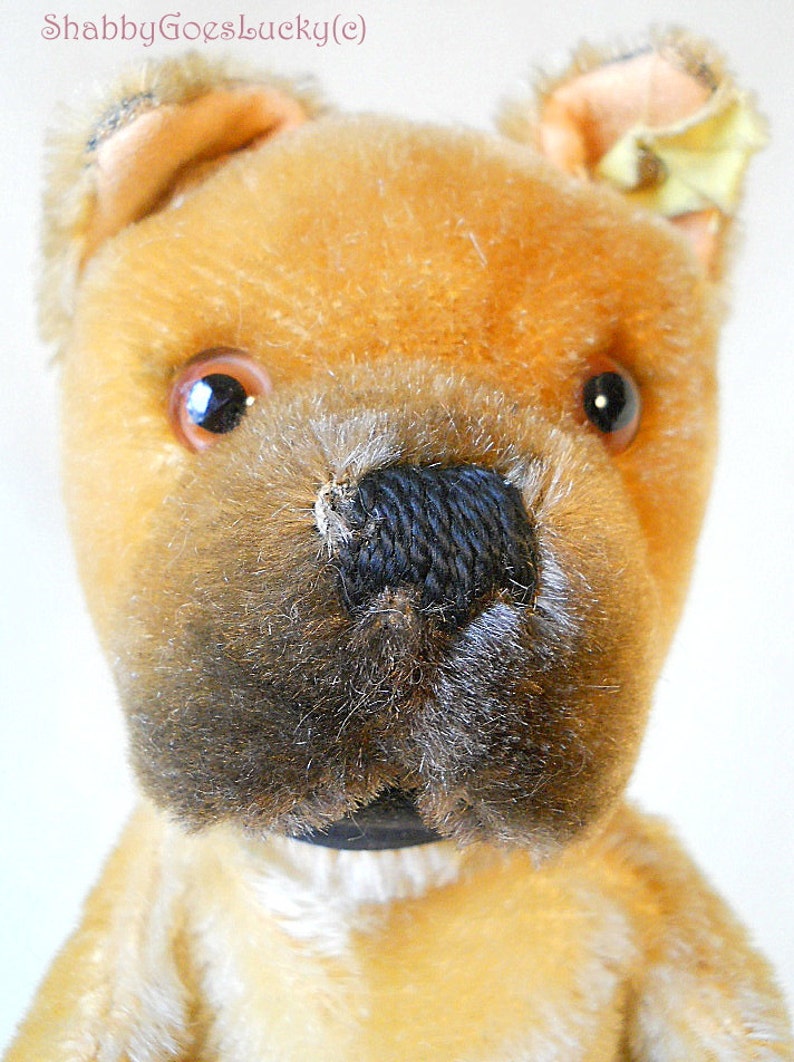 boxer hand puppet
