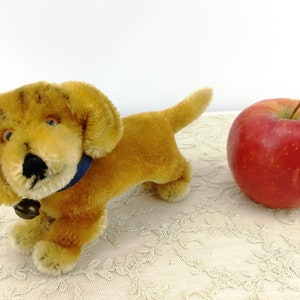 Steiff Dackel Welpe Bazi mit IDs 4 Zoll Vintage 1966 bis 1967 produziert