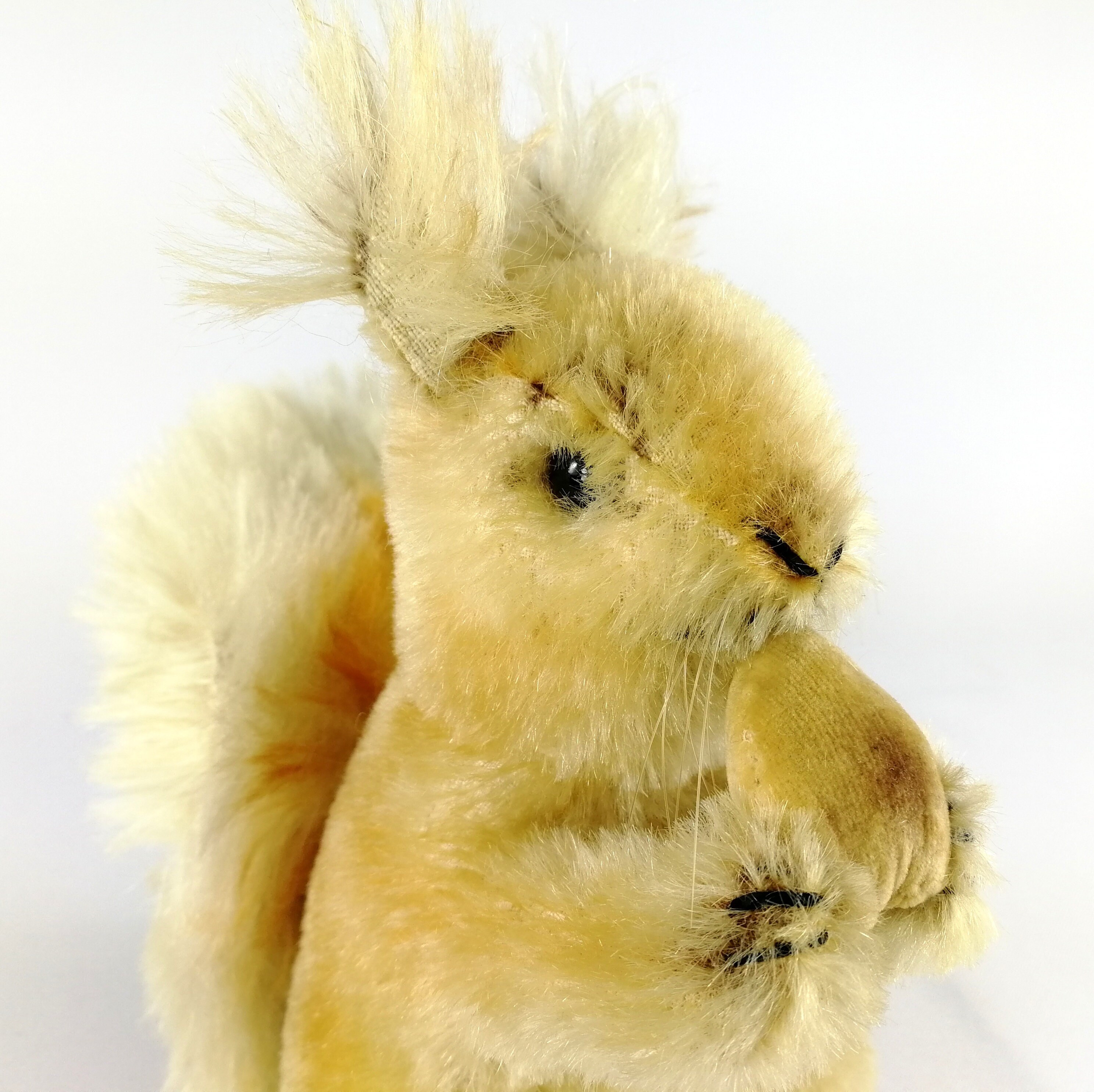 シュタイフ ベルベットナット付きリス 最大8インチ ヴィンテージ 1949