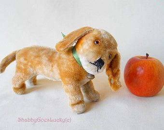Steiff Dachshund Puppy Dog with ID vintage 1950 to 1961 standing 5 inches