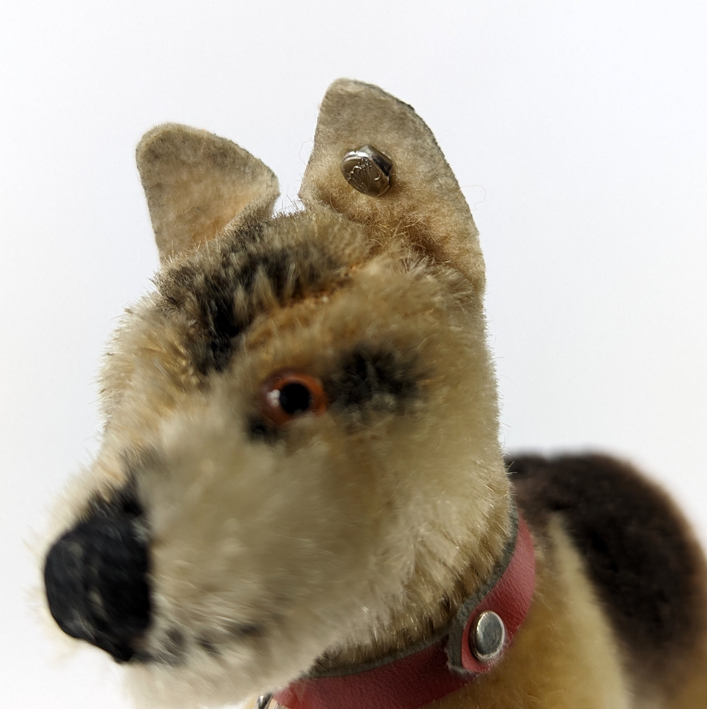 Steiff German Shepherd Dog Arco ID Smallest 4 Inches Standing